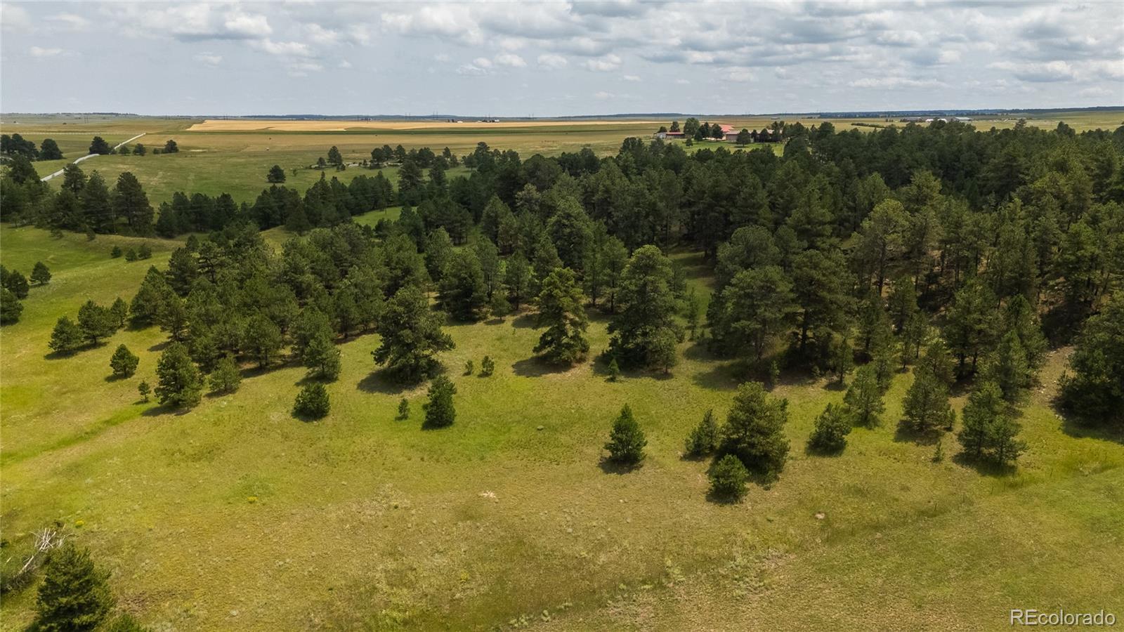 MLS Image #31 for 11771 e smith road,elbert, Colorado