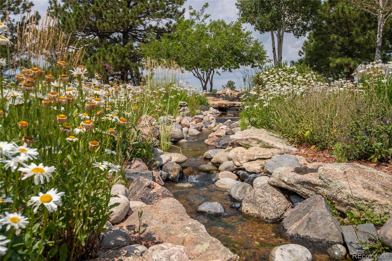 MLS Image #4 for 11771 e smith road,elbert, Colorado