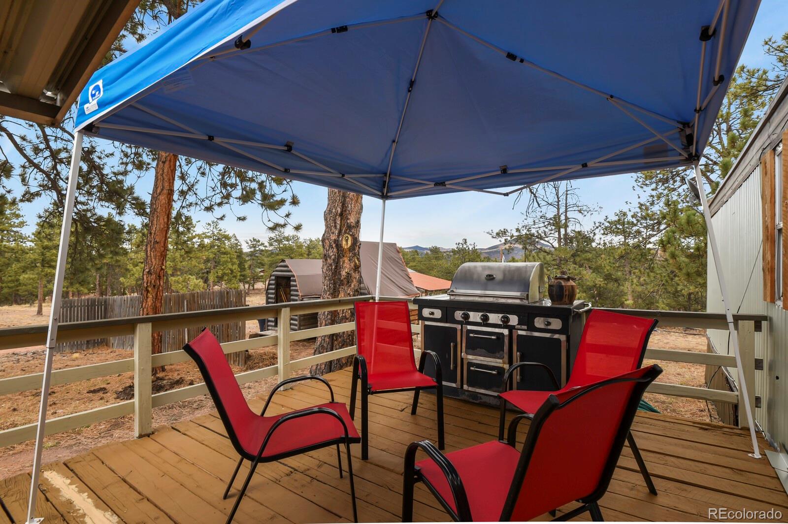 MLS Image #26 for 957  arapahoe drive,florissant, Colorado
