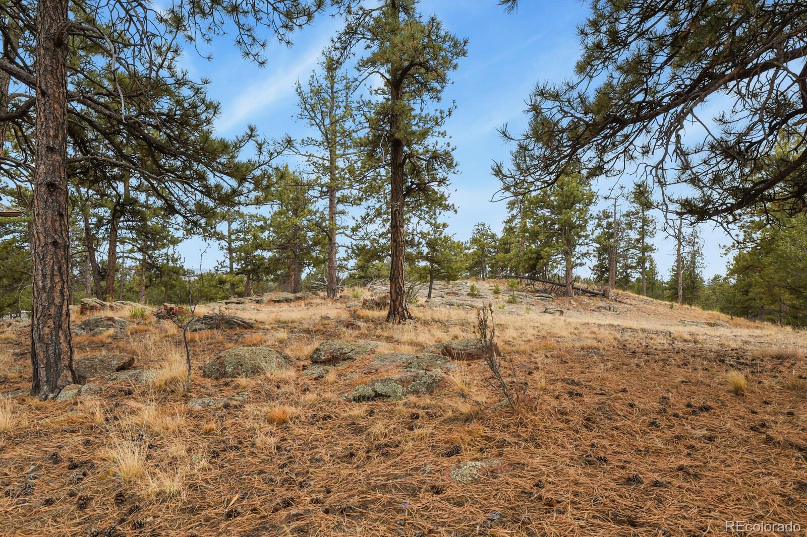 MLS Image #31 for 957  arapahoe drive,florissant, Colorado