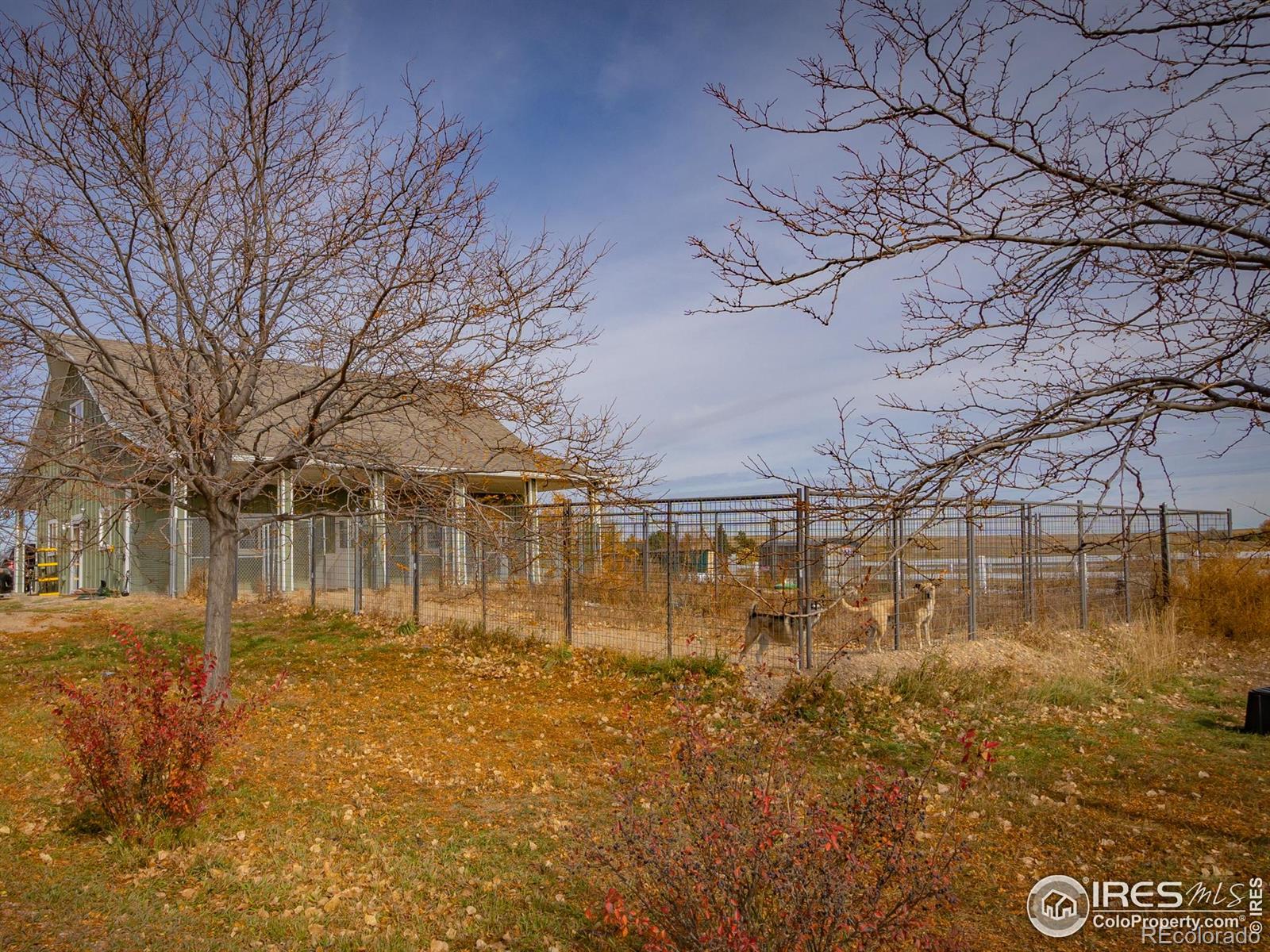 MLS Image #7 for 3039 n county road 1 ,fort collins, Colorado