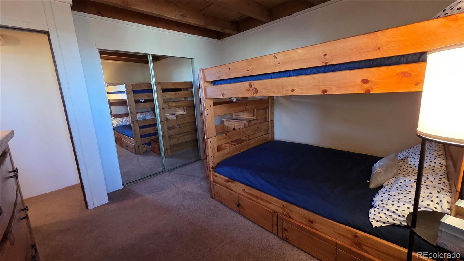 MLS Image #19 for 2300  lodge pole circle,silverthorne, Colorado