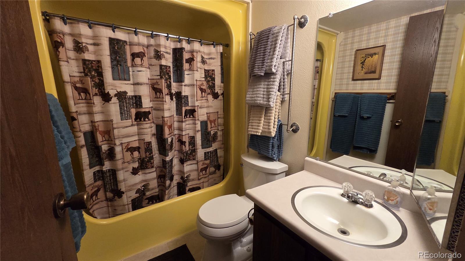 MLS Image #22 for 2300  lodge pole circle,silverthorne, Colorado