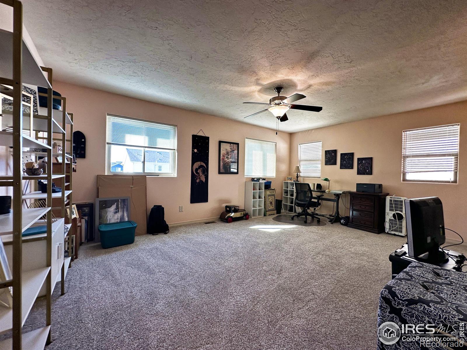 MLS Image #19 for 3323  borrossa street,evans, Colorado