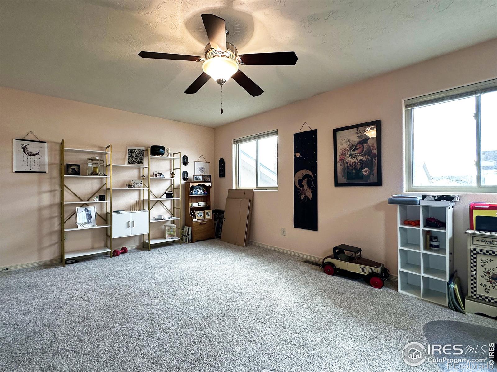 MLS Image #20 for 3323  borrossa street,evans, Colorado
