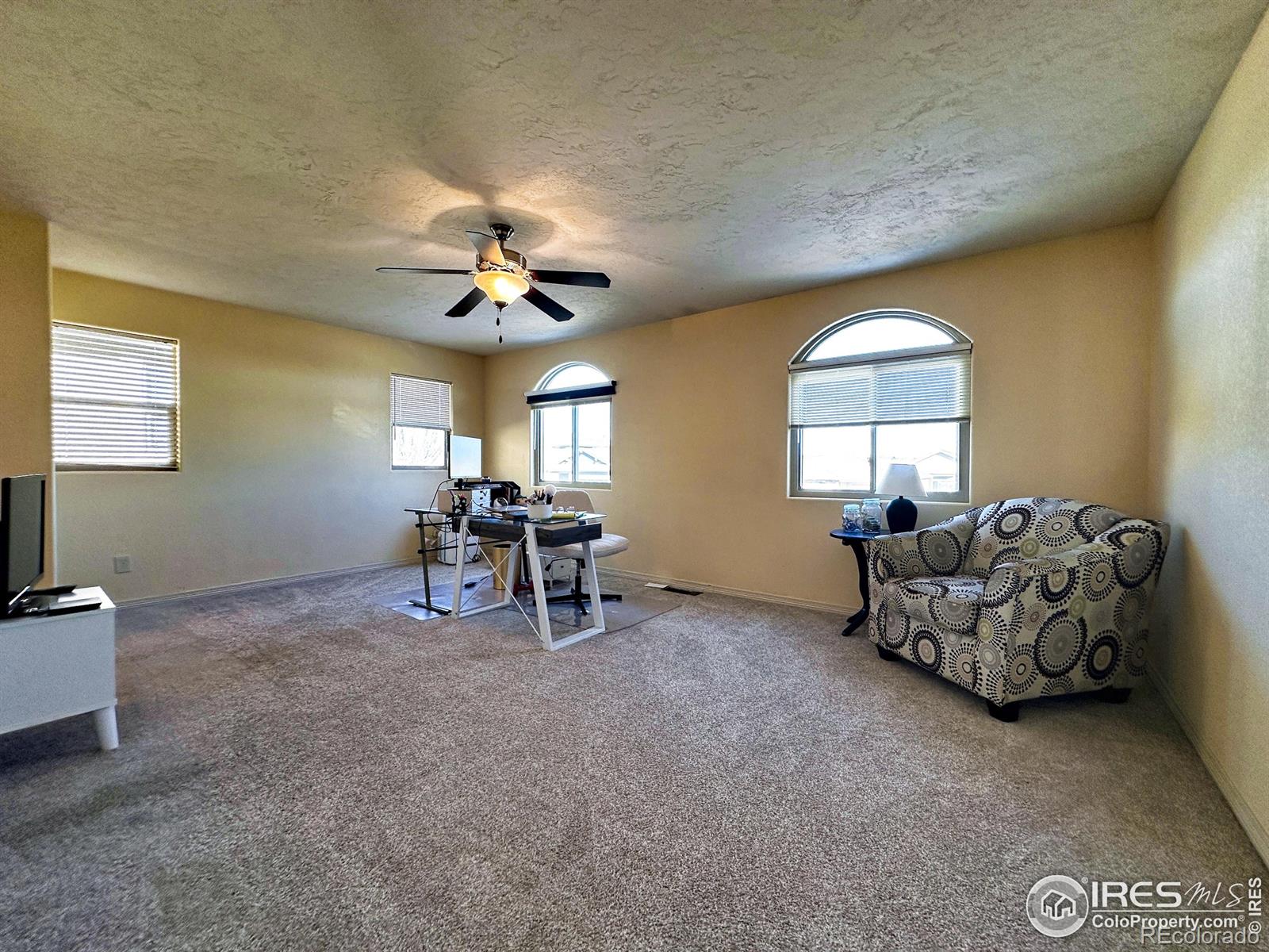 MLS Image #23 for 3323  borrossa street,evans, Colorado