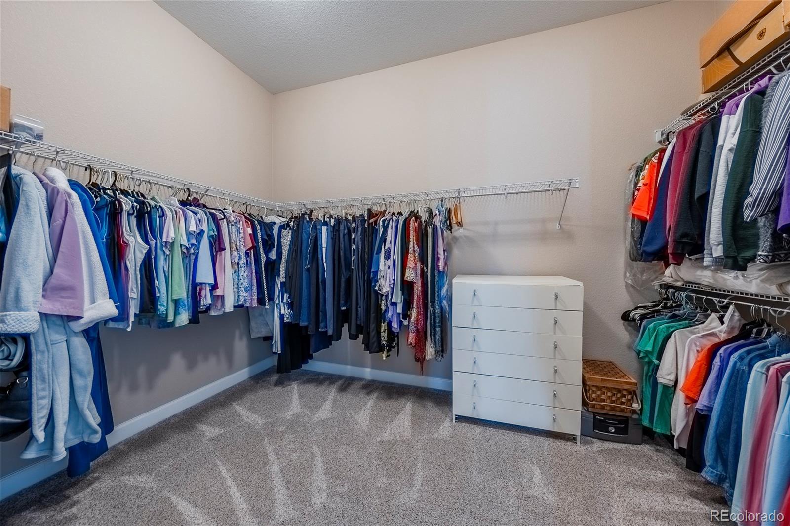 MLS Image #20 for 4051  old oaks street,castle rock, Colorado