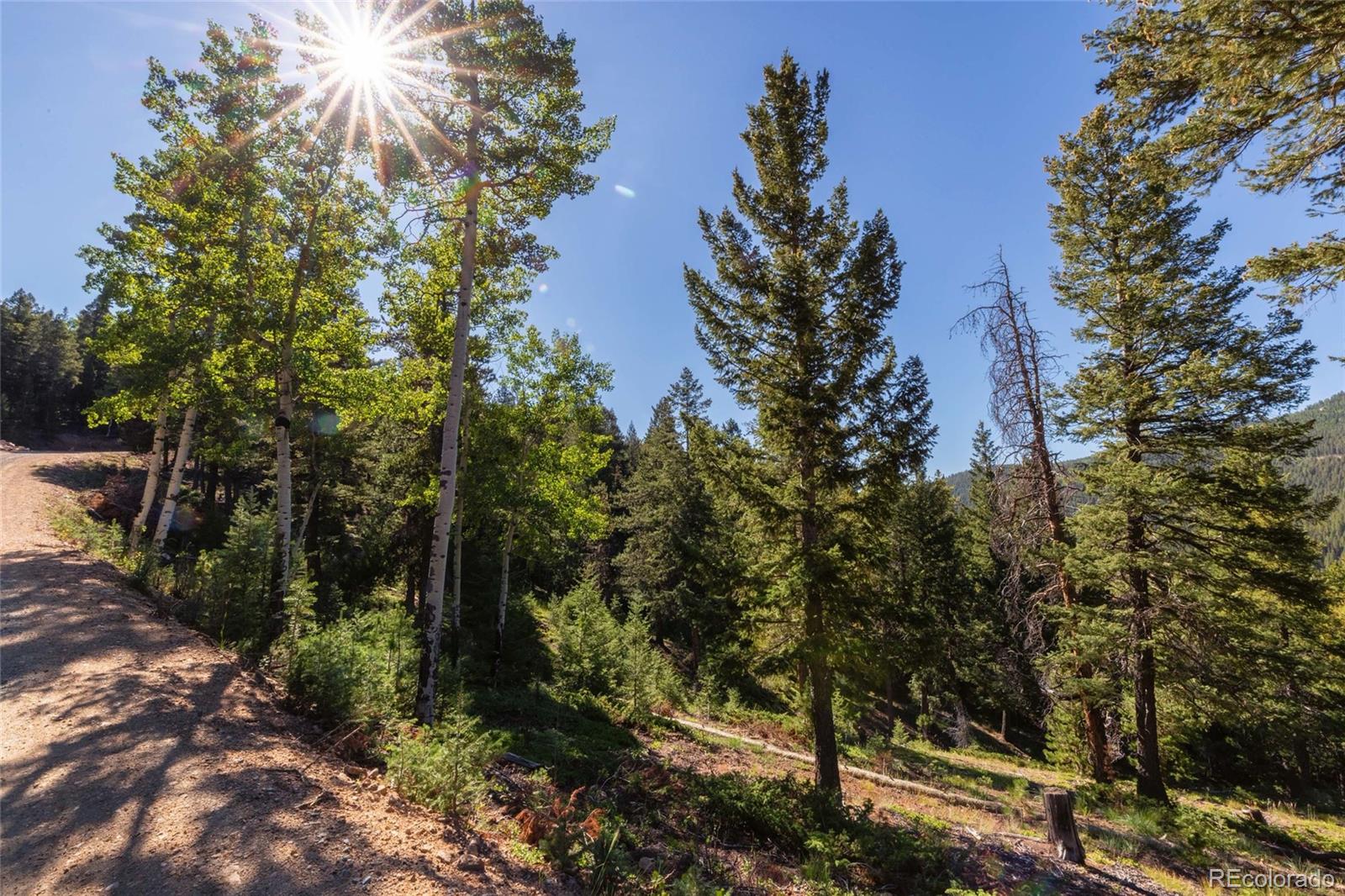 MLS Image #11 for 31334  forest shadow trail,conifer, Colorado