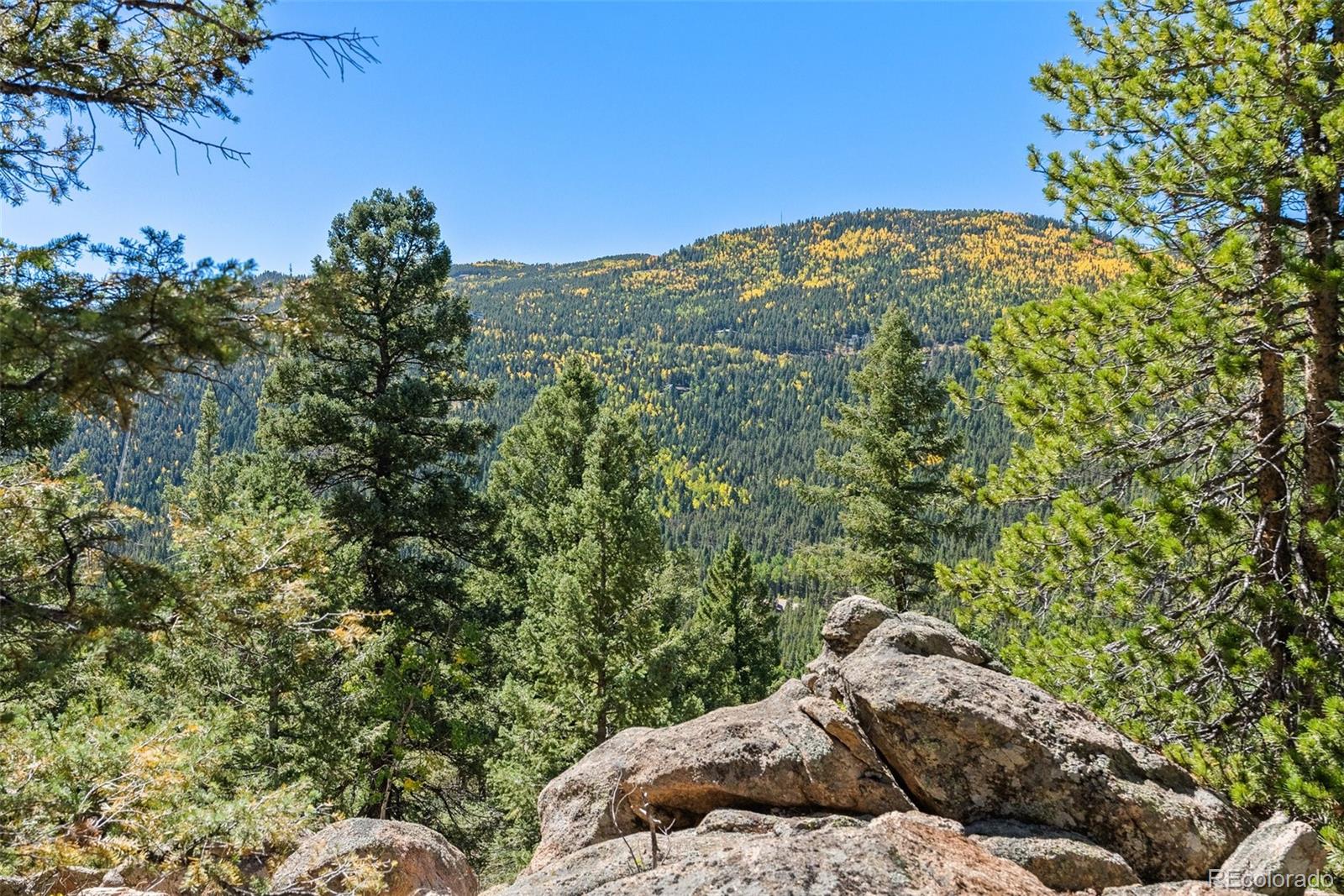 MLS Image #13 for 31334  forest shadow trail,conifer, Colorado