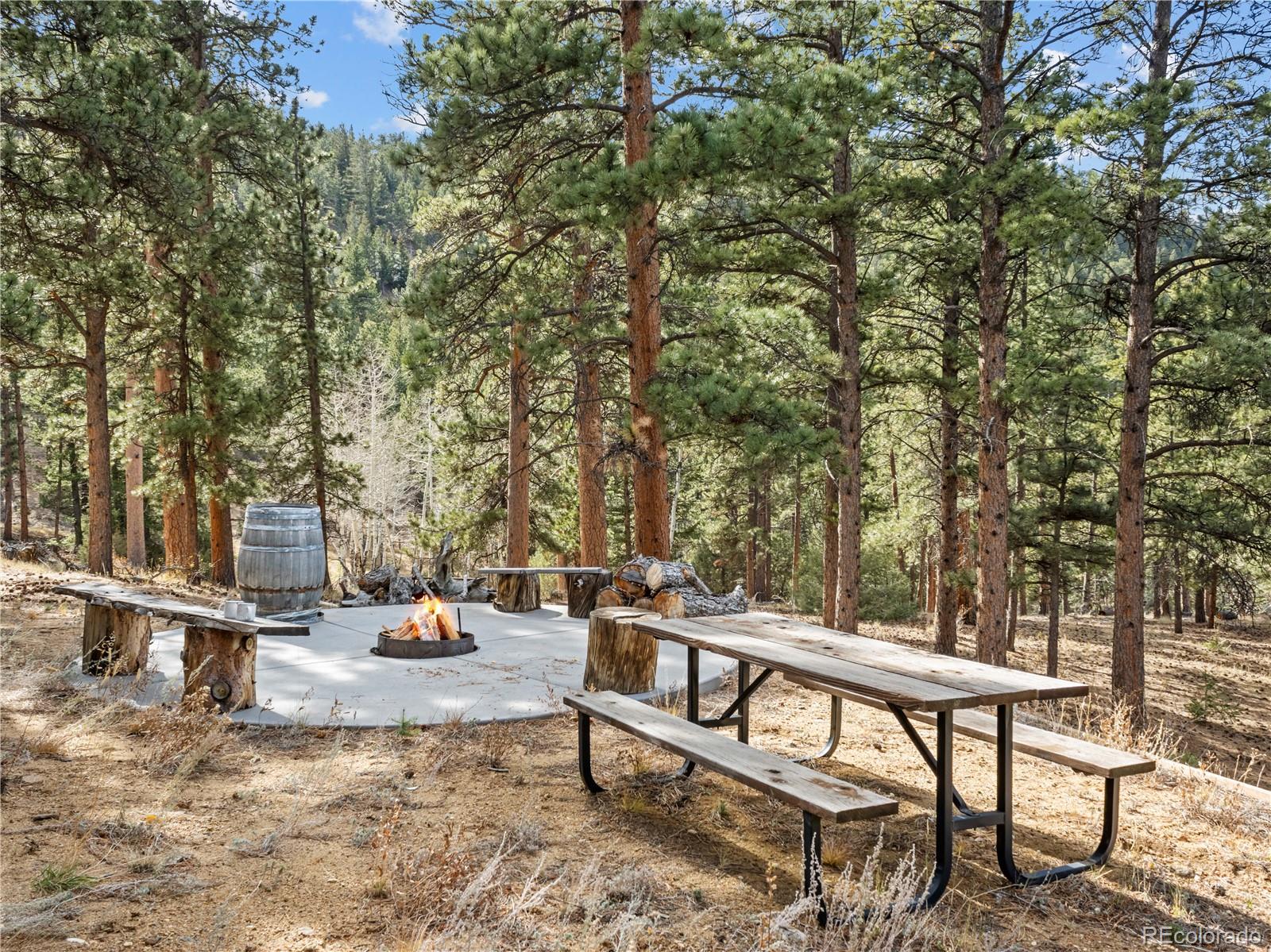 MLS Image #38 for 1267  upper venner road,estes park, Colorado