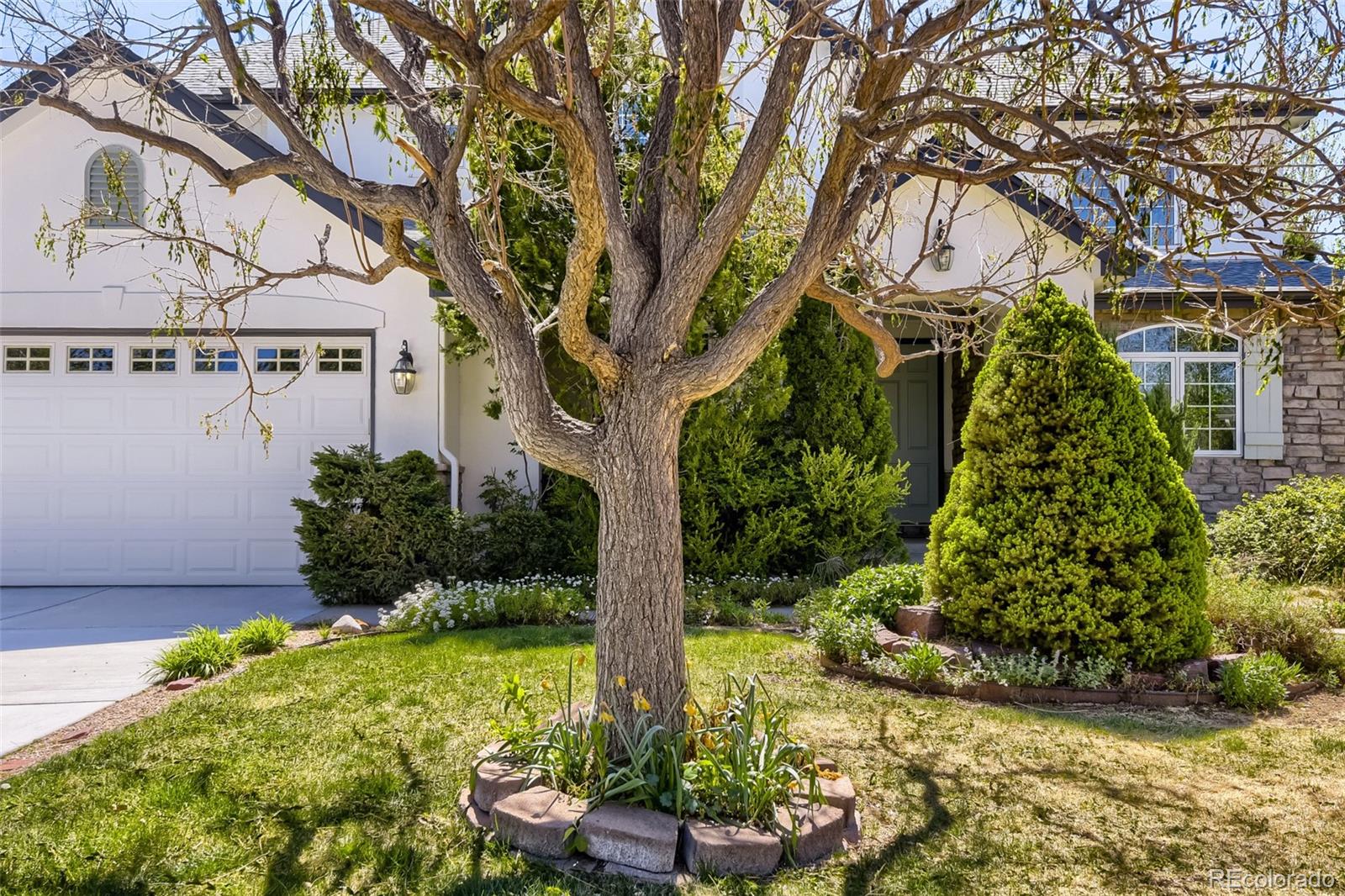 MLS Image #28 for 5398 s jay drive,littleton, Colorado