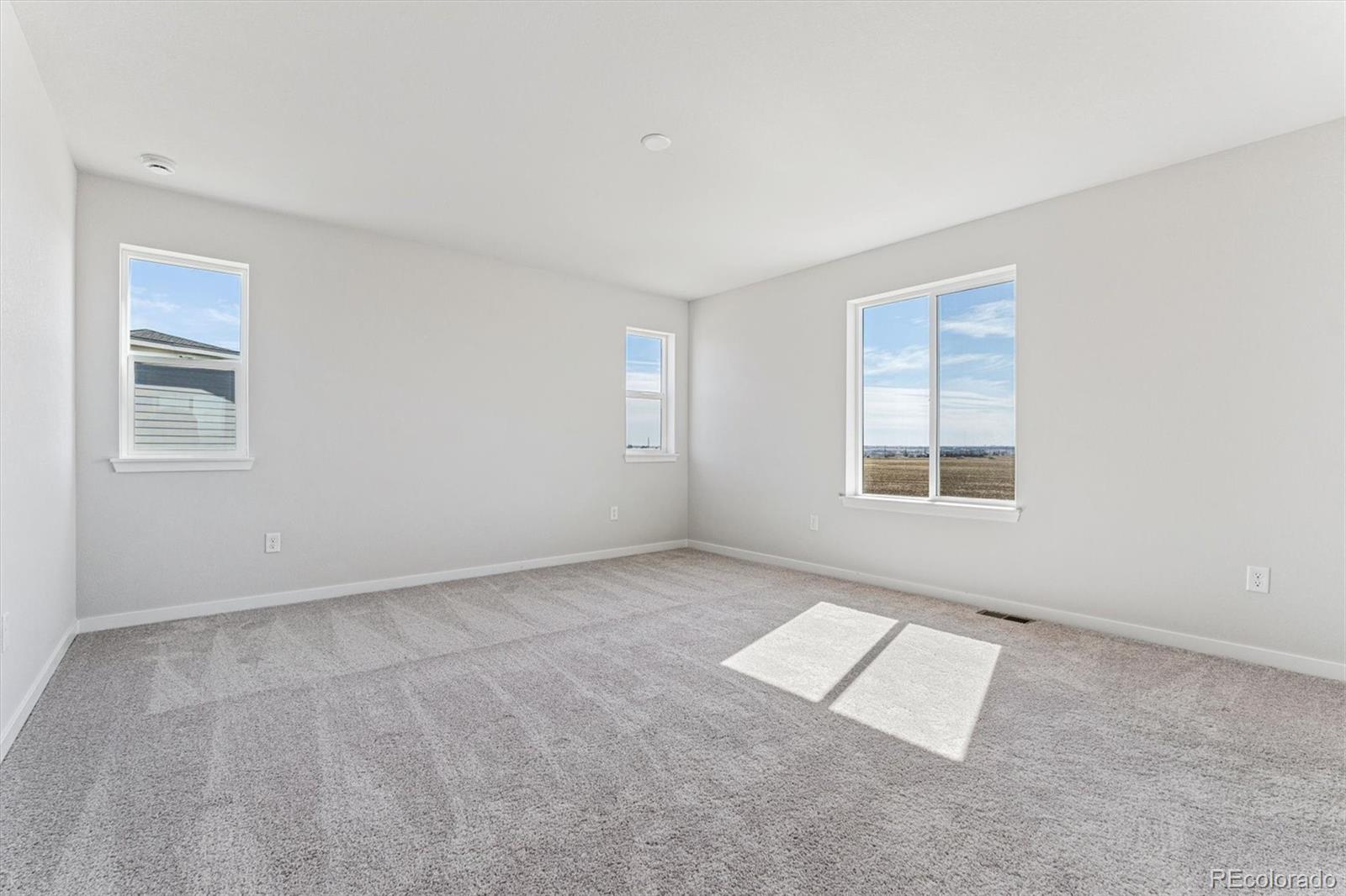 MLS Image #19 for 5816  farmstead place,mead, Colorado