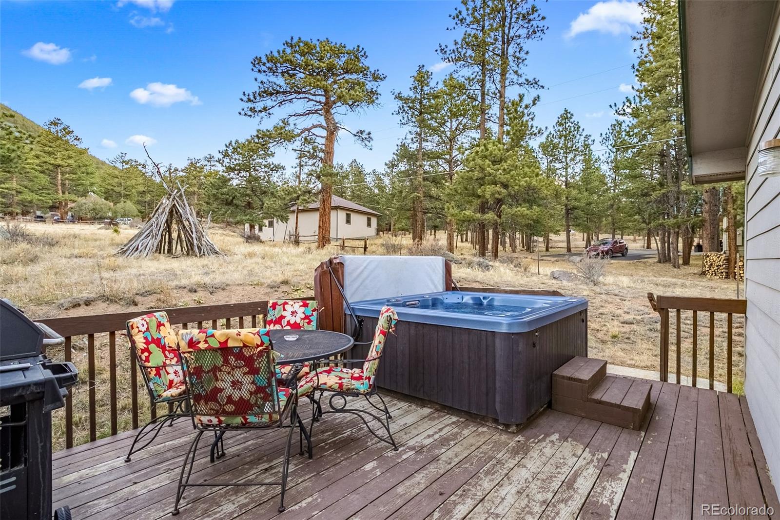 MLS Image #6 for 55  odin way,estes park, Colorado