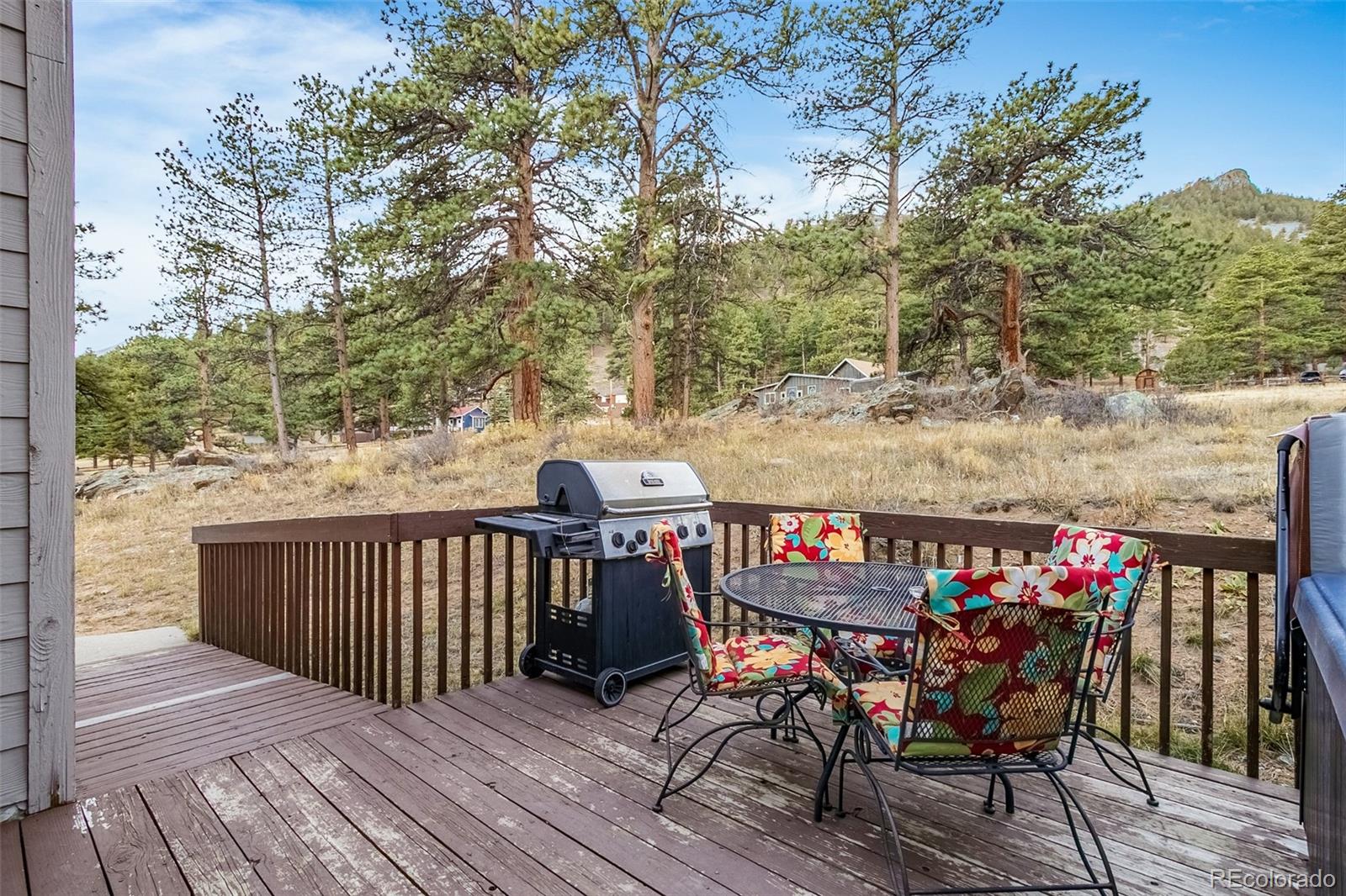 MLS Image #7 for 55  odin way,estes park, Colorado