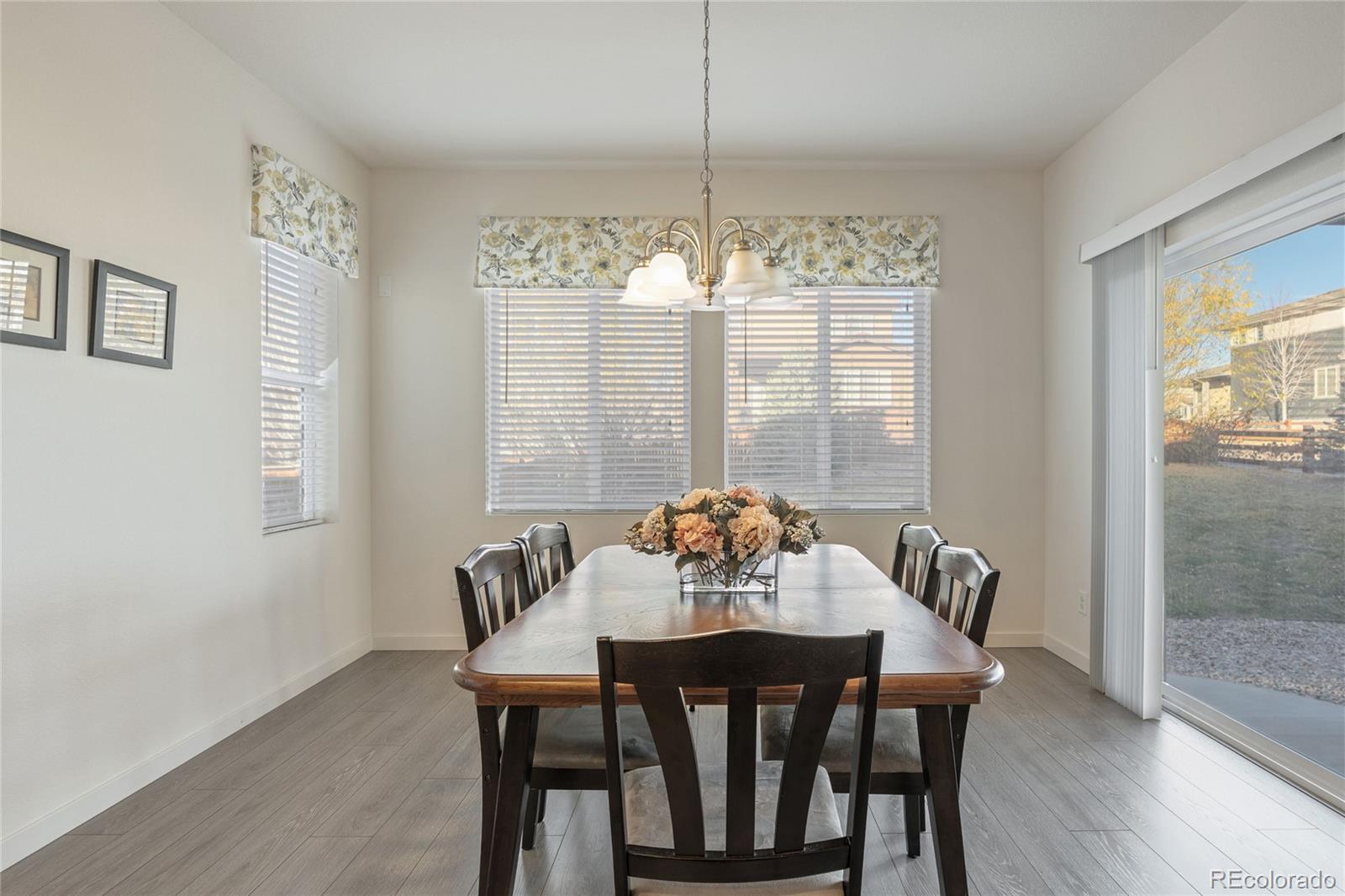 MLS Image #10 for 14027  touchstone street,parker, Colorado