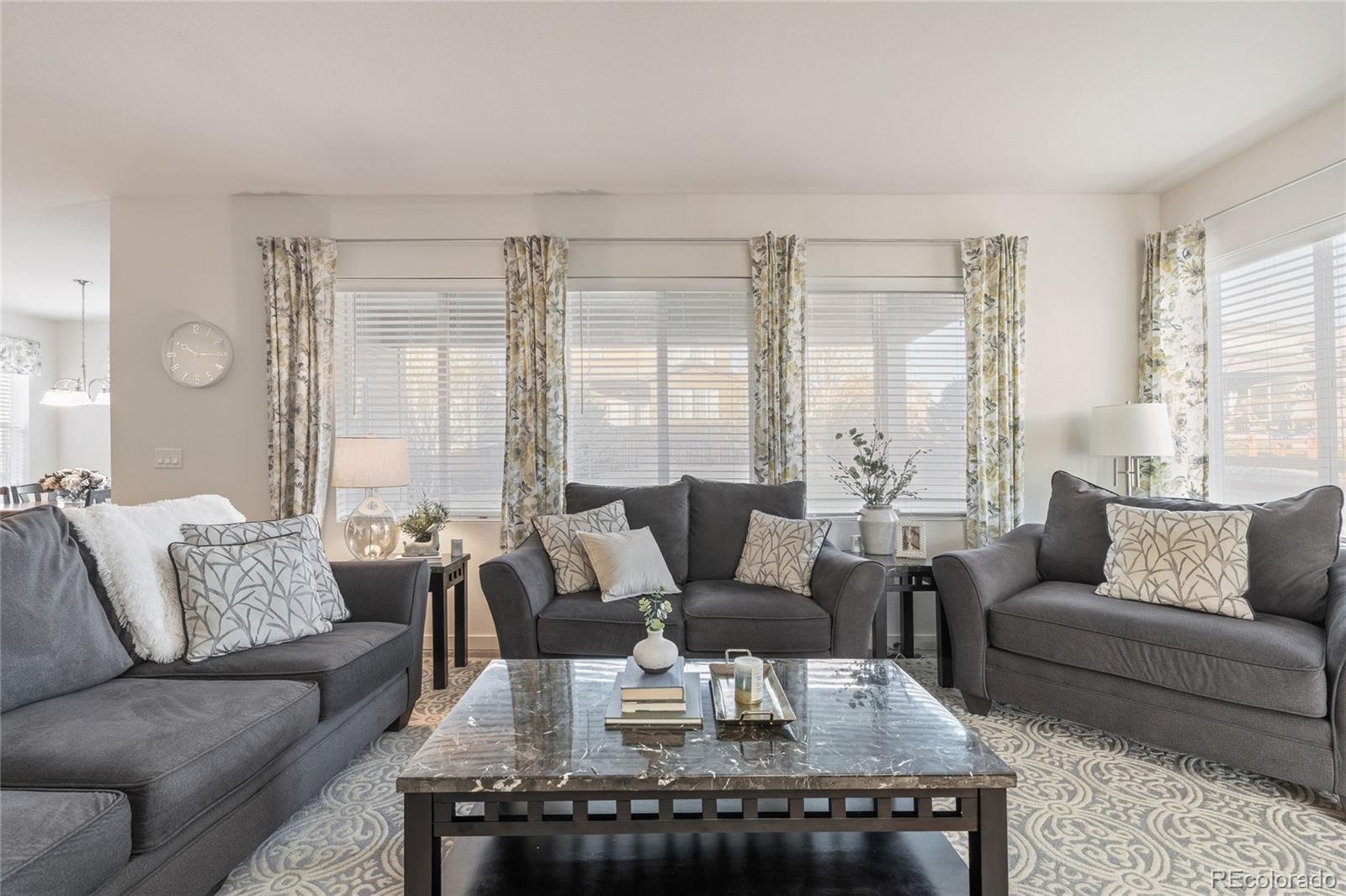 MLS Image #13 for 14027  touchstone street,parker, Colorado