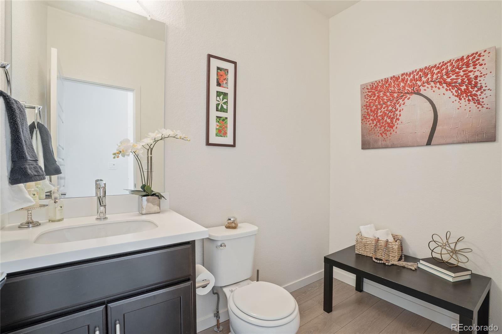 MLS Image #19 for 14027  touchstone street,parker, Colorado