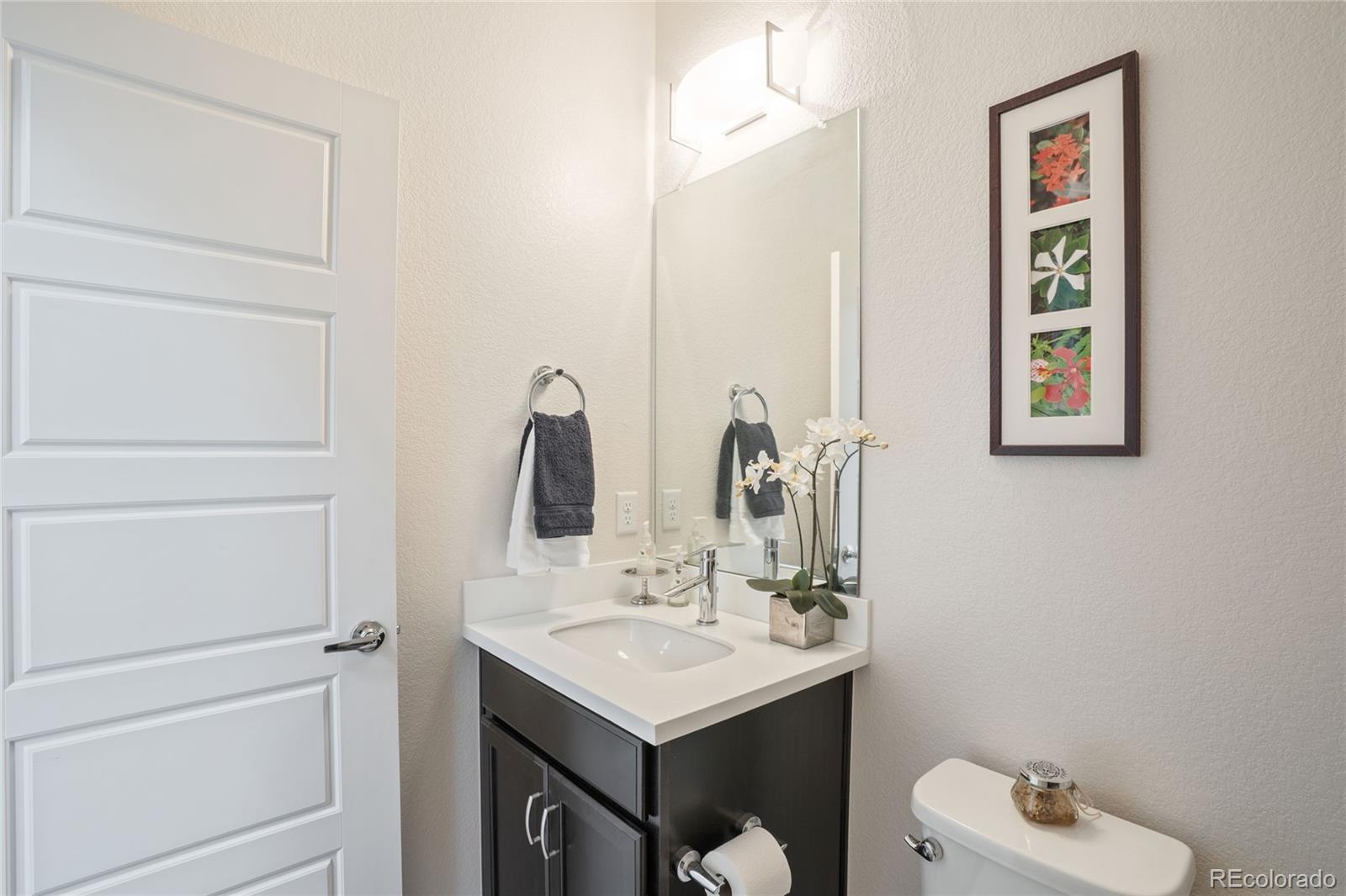 MLS Image #20 for 14027  touchstone street,parker, Colorado