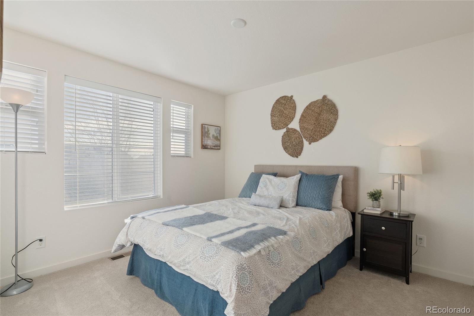 MLS Image #30 for 14027  touchstone street,parker, Colorado
