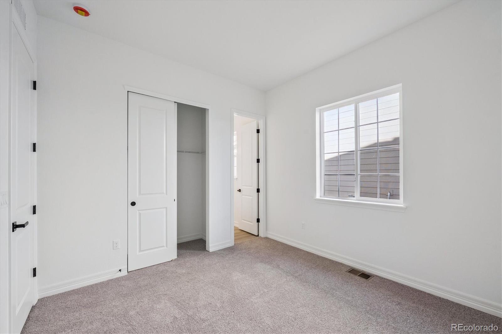 MLS Image #17 for 1180  weller street,timnath, Colorado