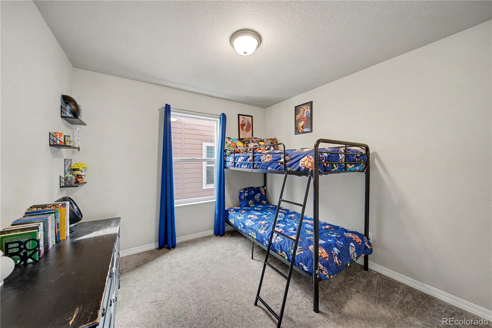 MLS Image #24 for 4791  amazonite drive,colorado springs, Colorado