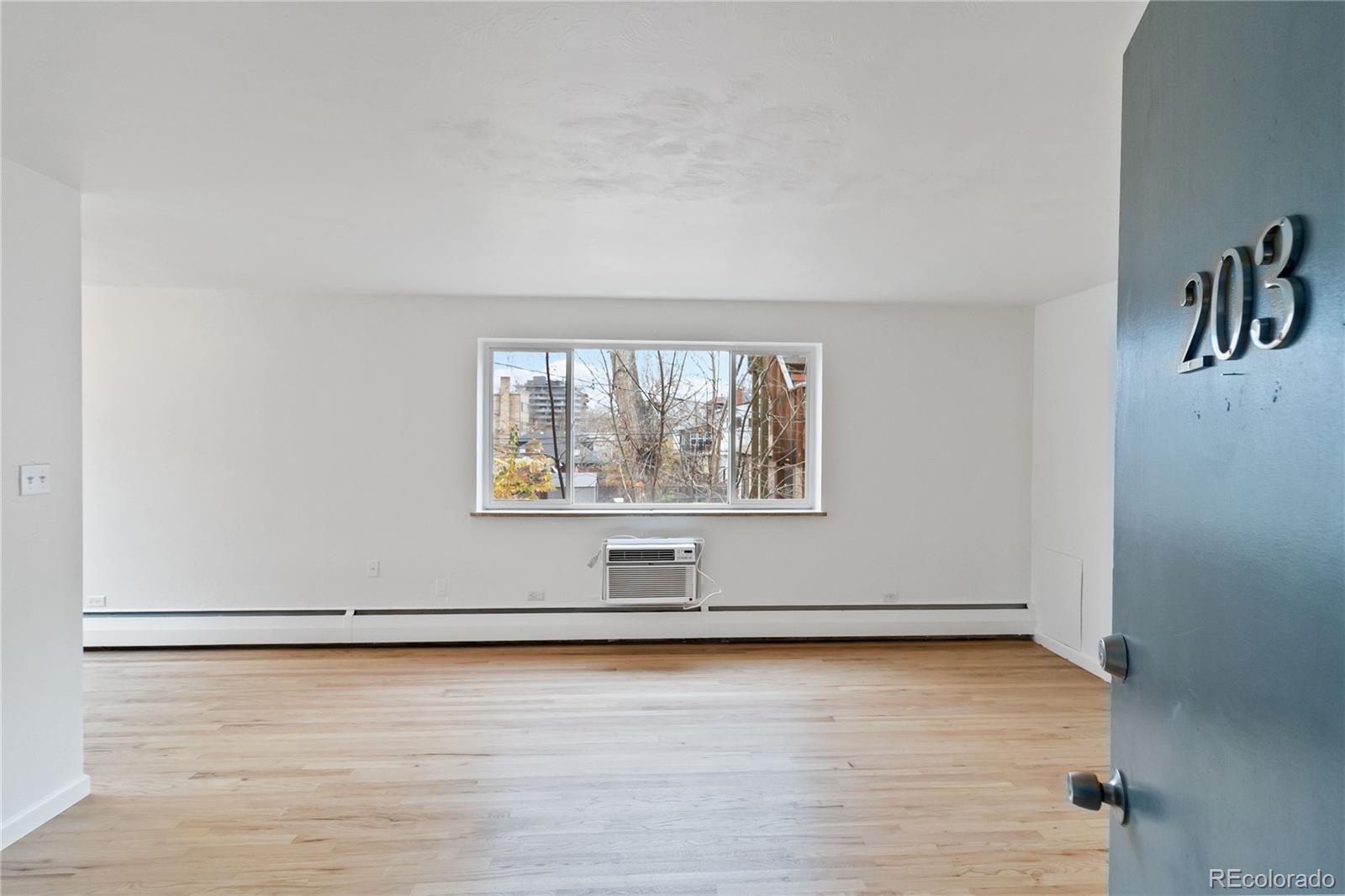 MLS Image #2 for 1056  marion street 203,denver, Colorado