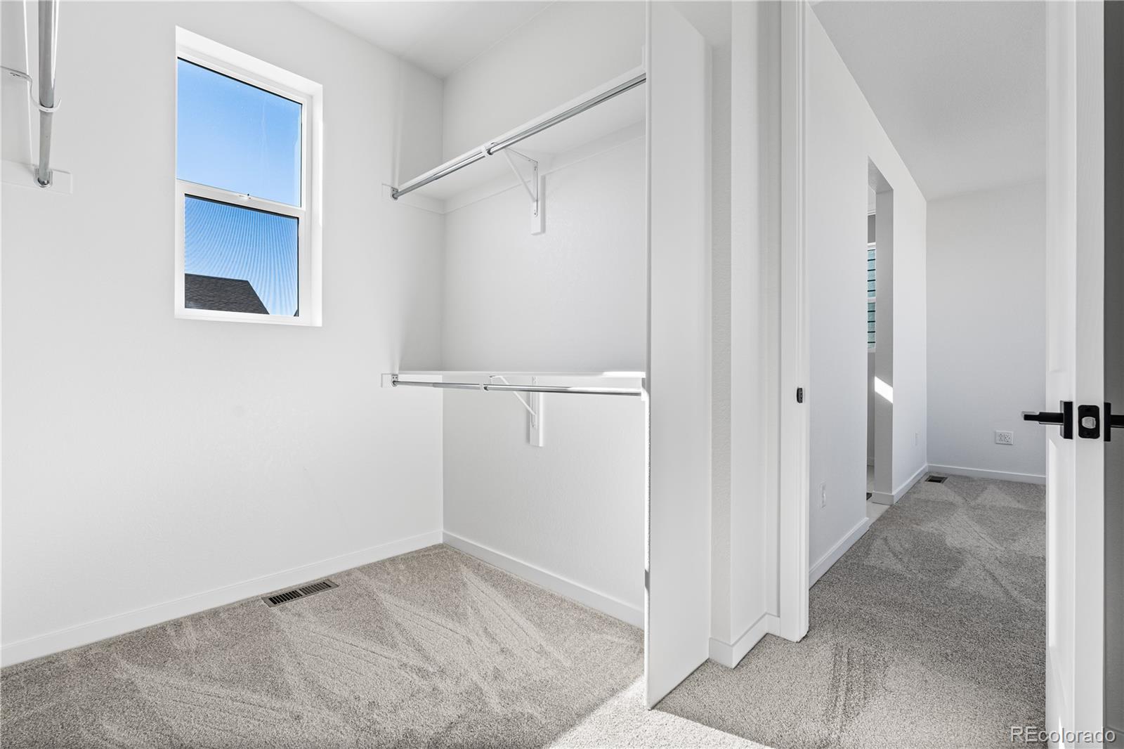 MLS Image #20 for 12058  octave avenue,lone tree, Colorado