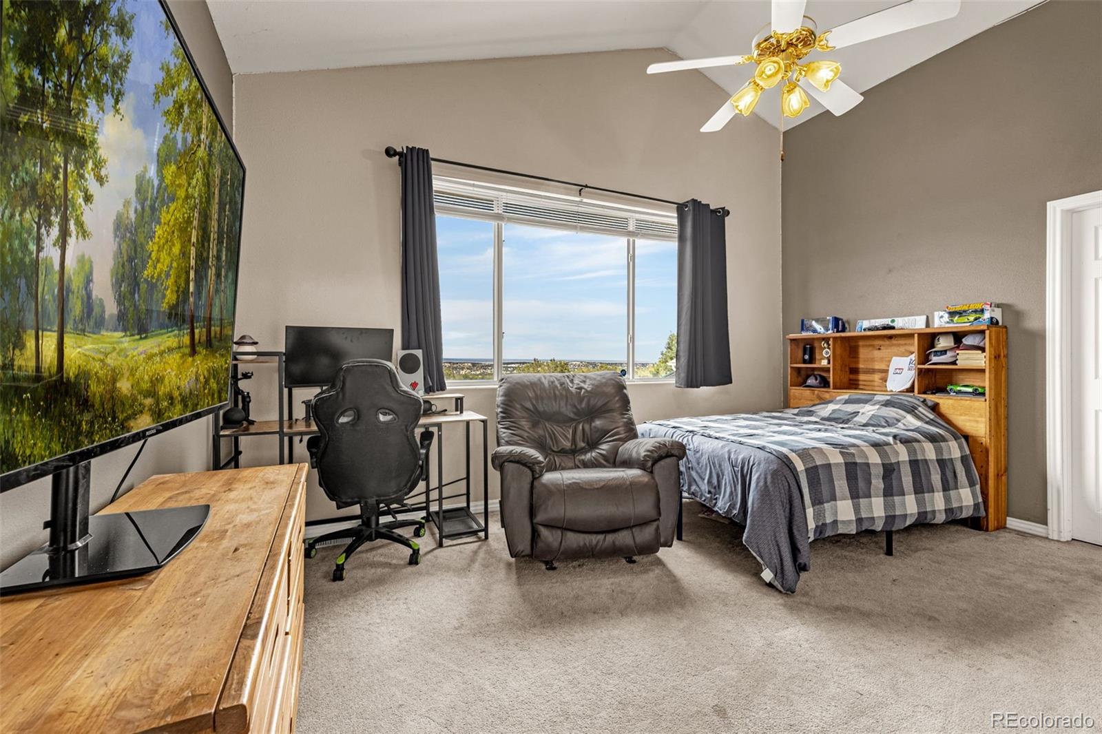 MLS Image #19 for 3115  canyon heights road,pueblo, Colorado