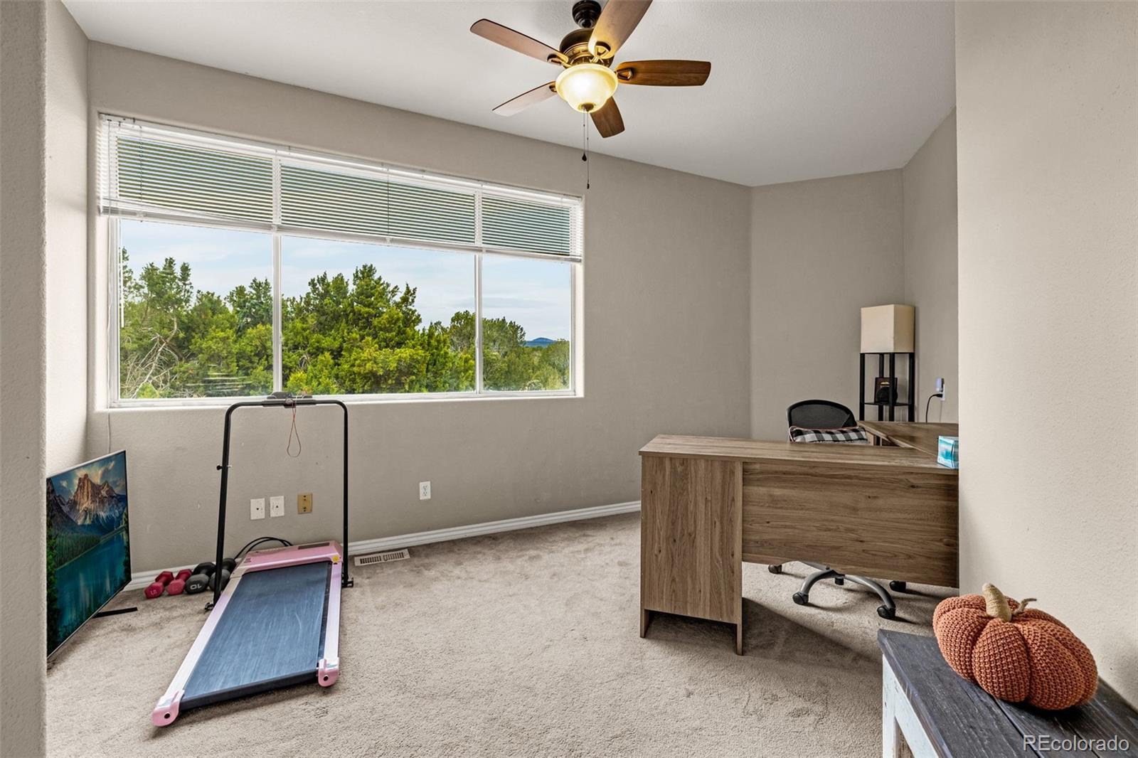 MLS Image #26 for 3115  canyon heights road,pueblo, Colorado