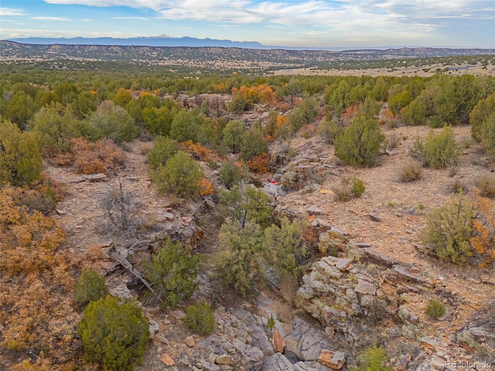 MLS Image #38 for 3115  canyon heights road,pueblo, Colorado