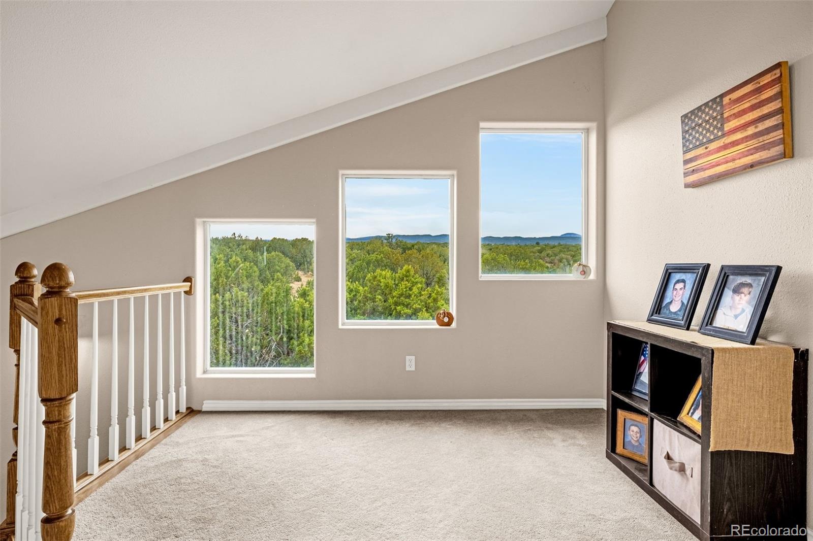 MLS Image #9 for 3115  canyon heights road,pueblo, Colorado