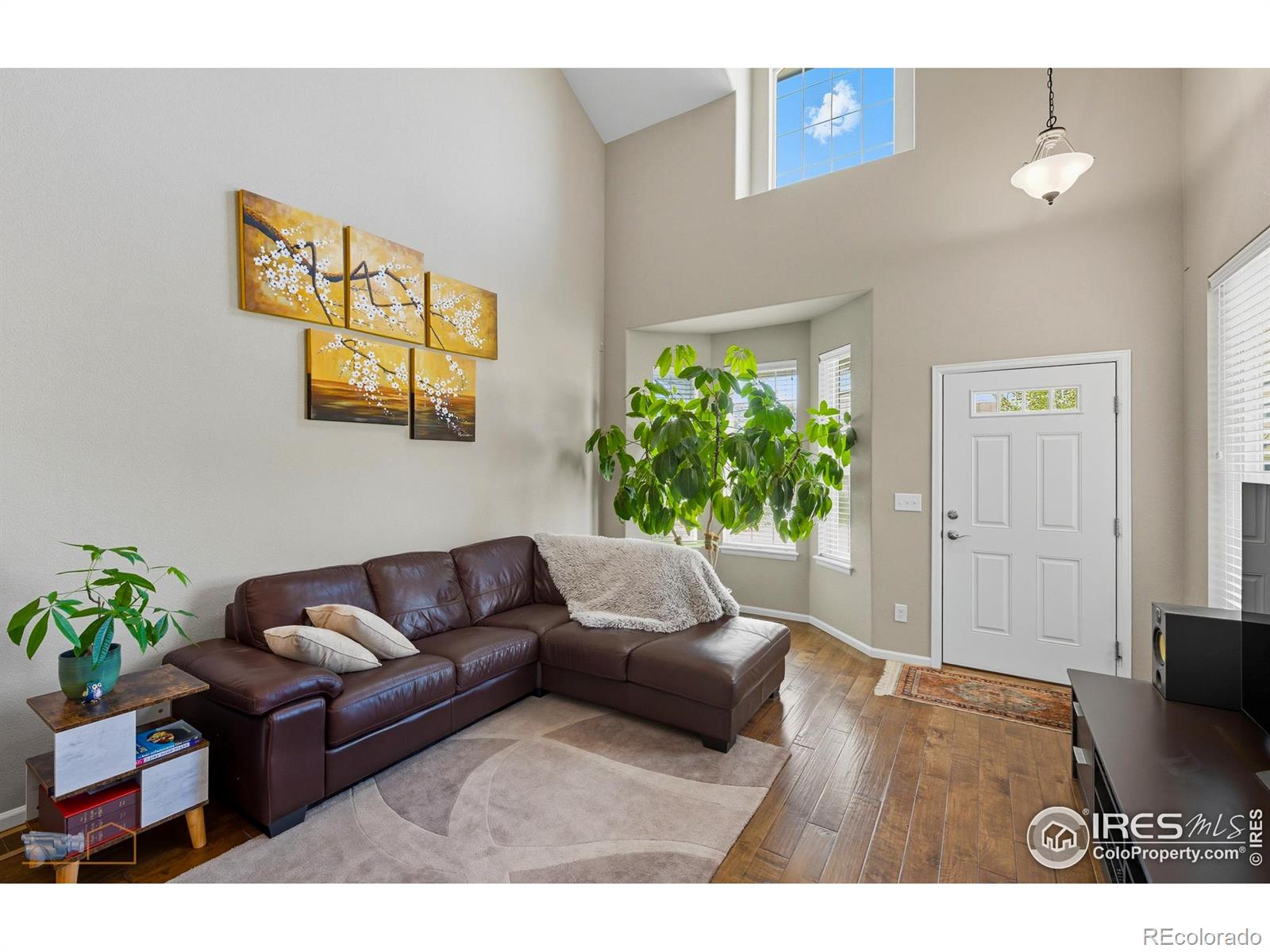 MLS Image #4 for 4859  raven run,broomfield, Colorado