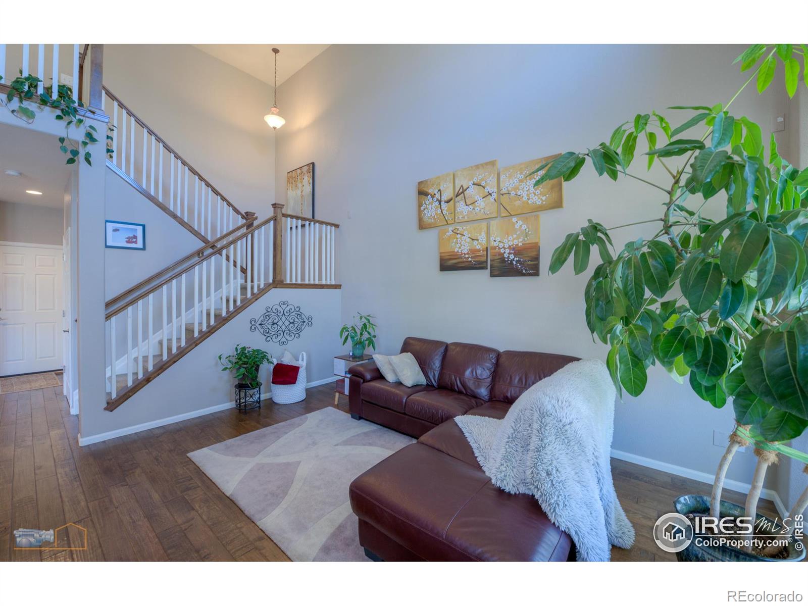 MLS Image #7 for 4859  raven run,broomfield, Colorado