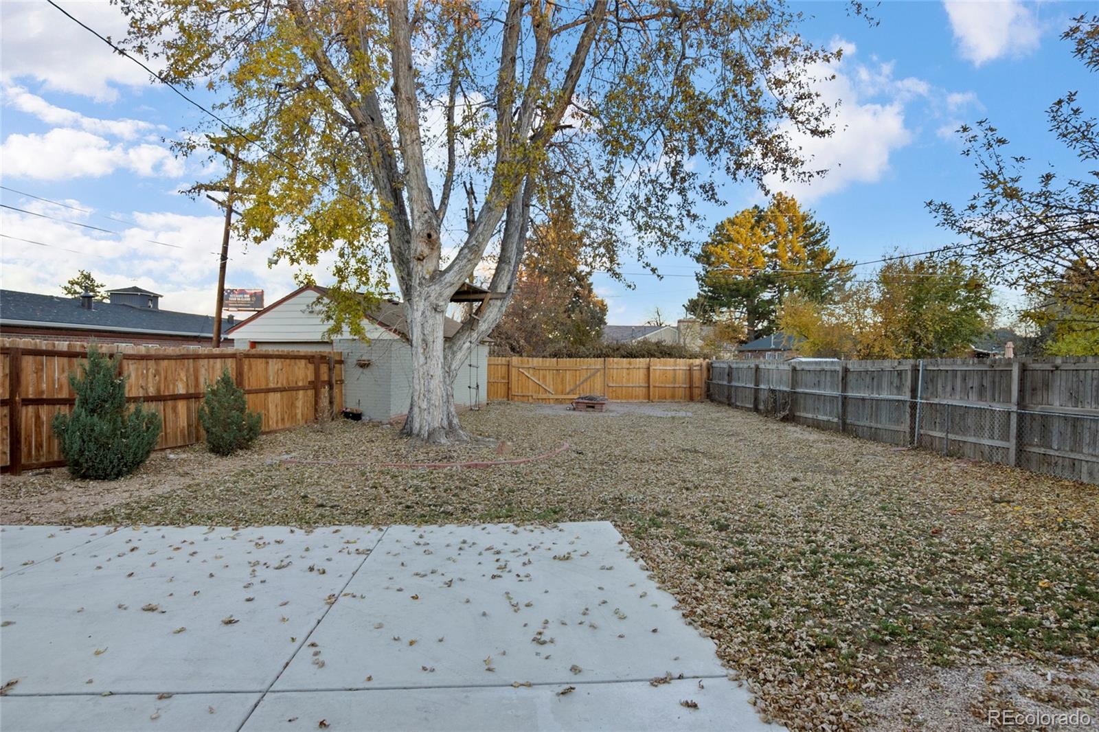 MLS Image #19 for 1444  willow street,denver, Colorado
