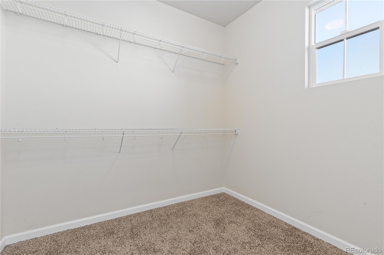 MLS Image #17 for 476  cholla drive,loveland, Colorado