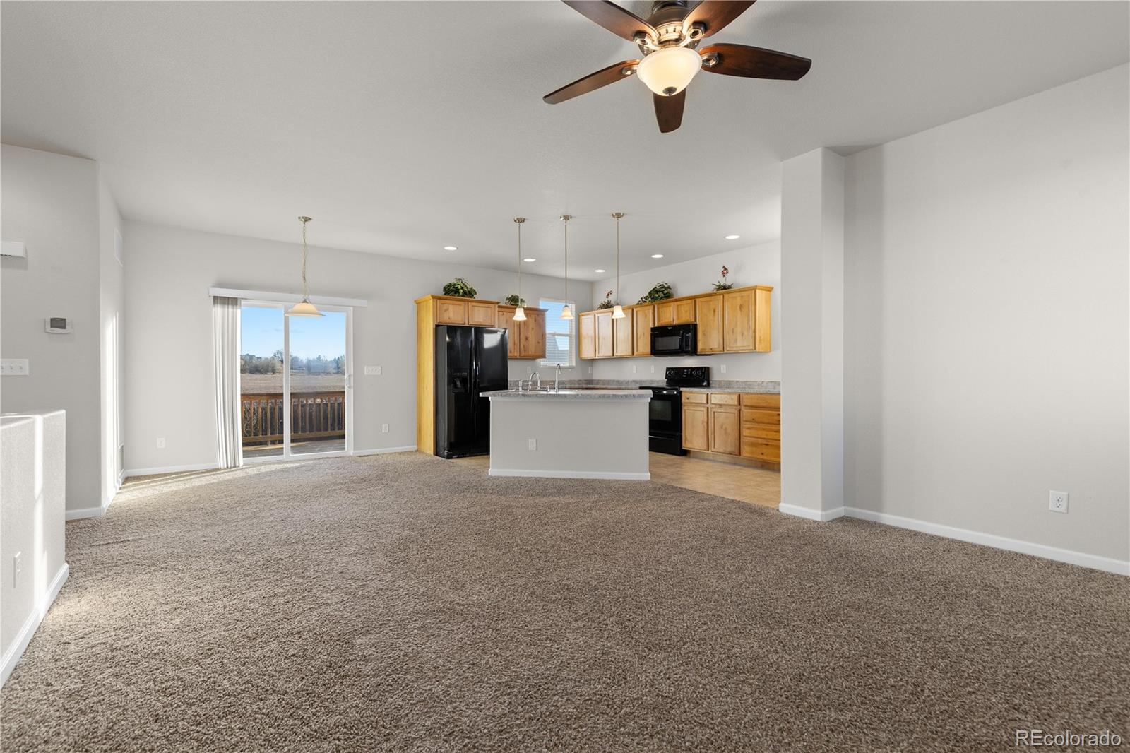 MLS Image #5 for 476  cholla drive,loveland, Colorado