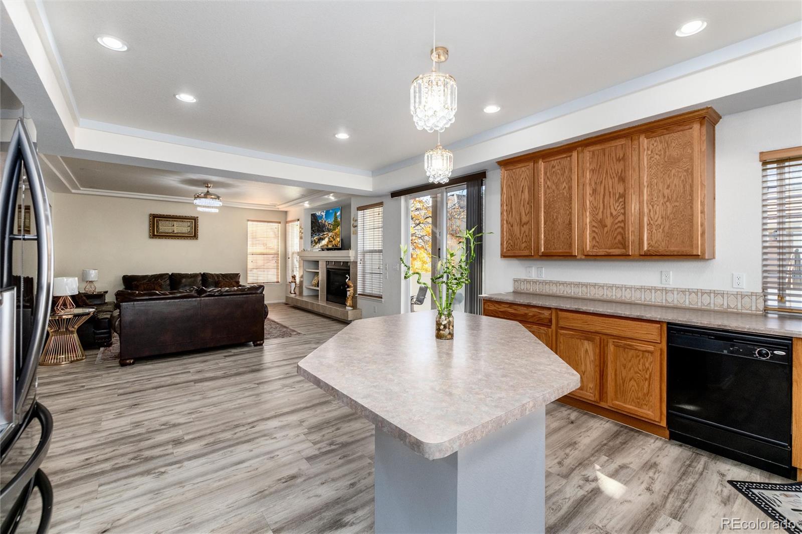 MLS Image #16 for 5293  malaya st ,denver, Colorado