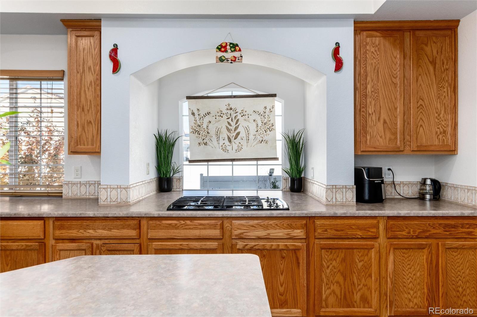 MLS Image #17 for 5293  malaya st ,denver, Colorado