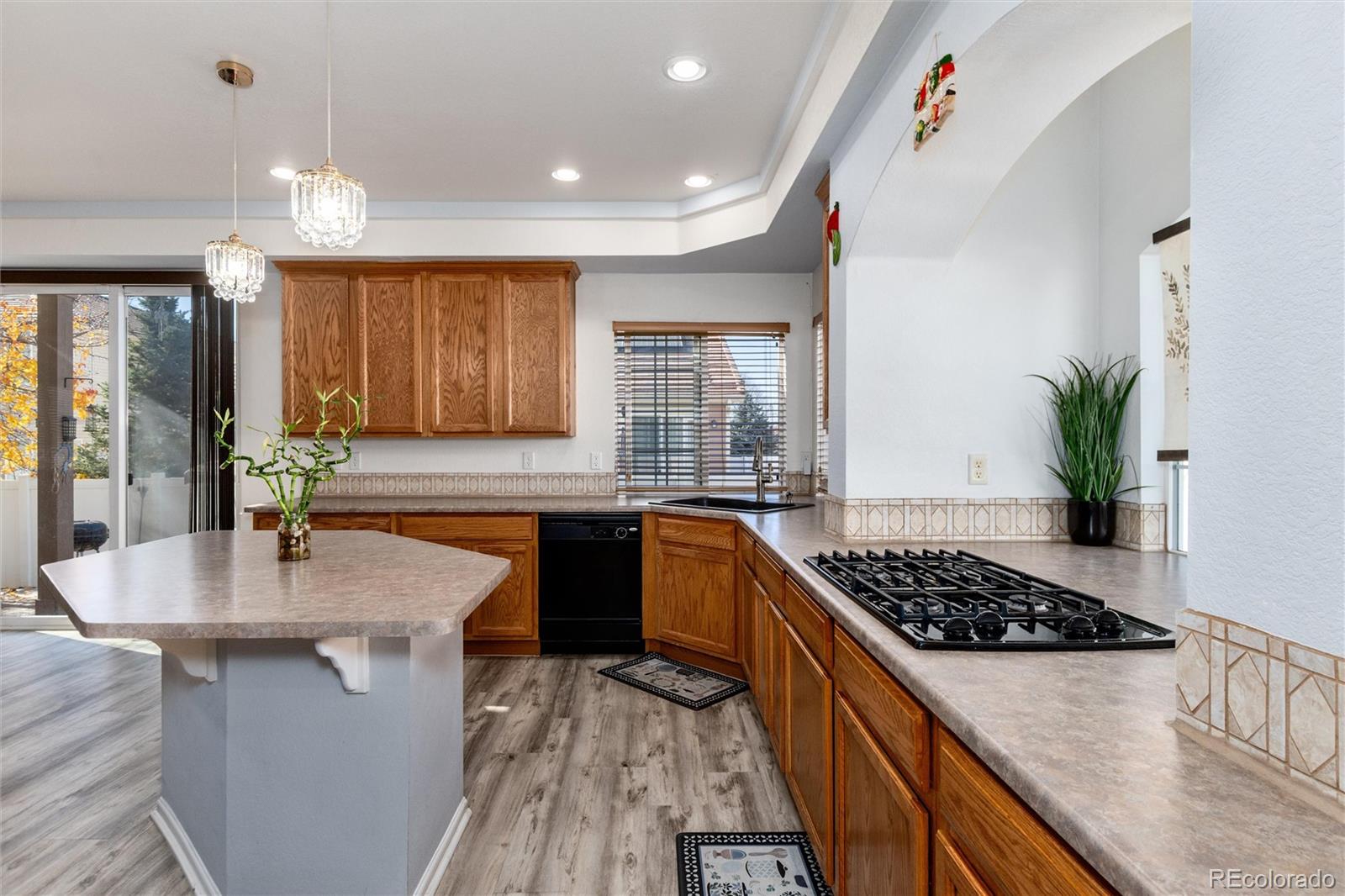 MLS Image #19 for 5293  malaya st ,denver, Colorado