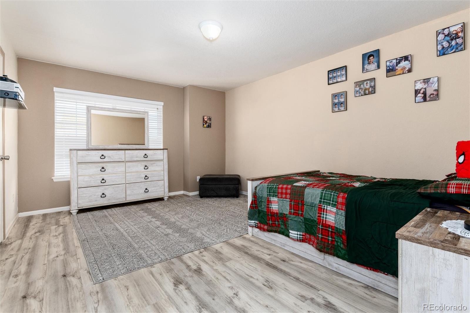MLS Image #26 for 5293  malaya st ,denver, Colorado