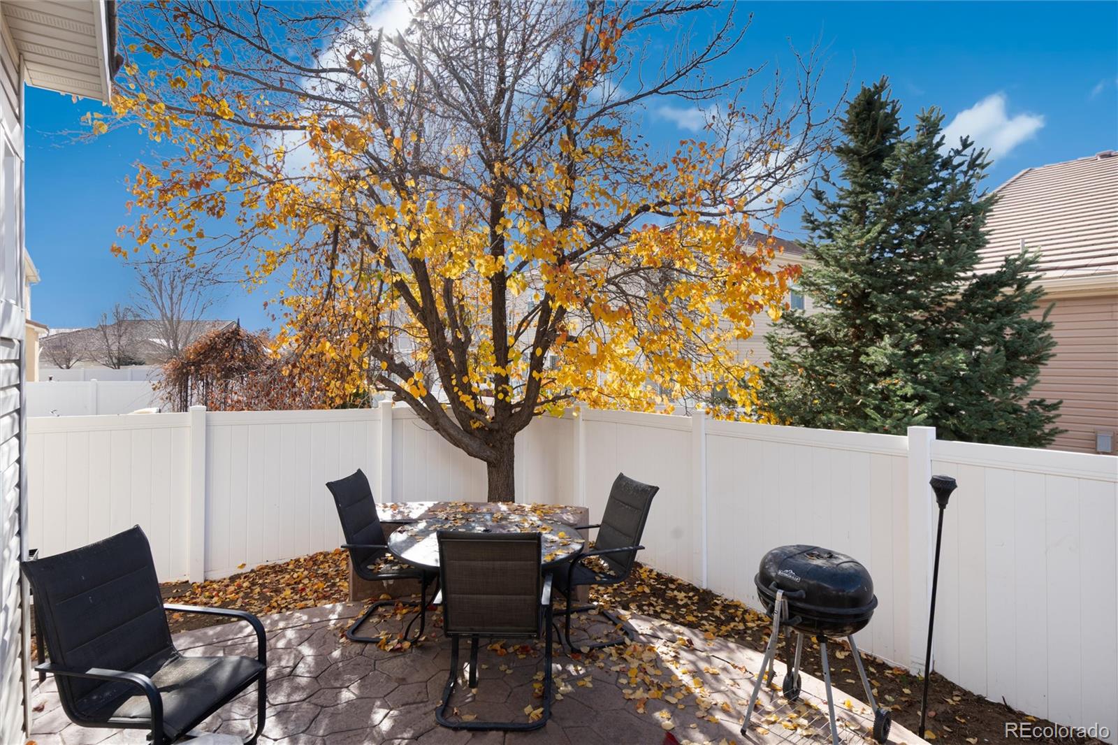 MLS Image #41 for 5293  malaya st ,denver, Colorado