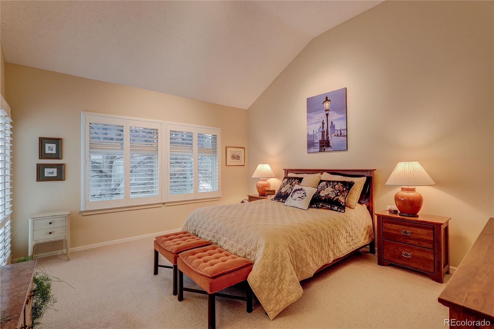 MLS Image #13 for 8849  blue mountain place,highlands ranch, Colorado