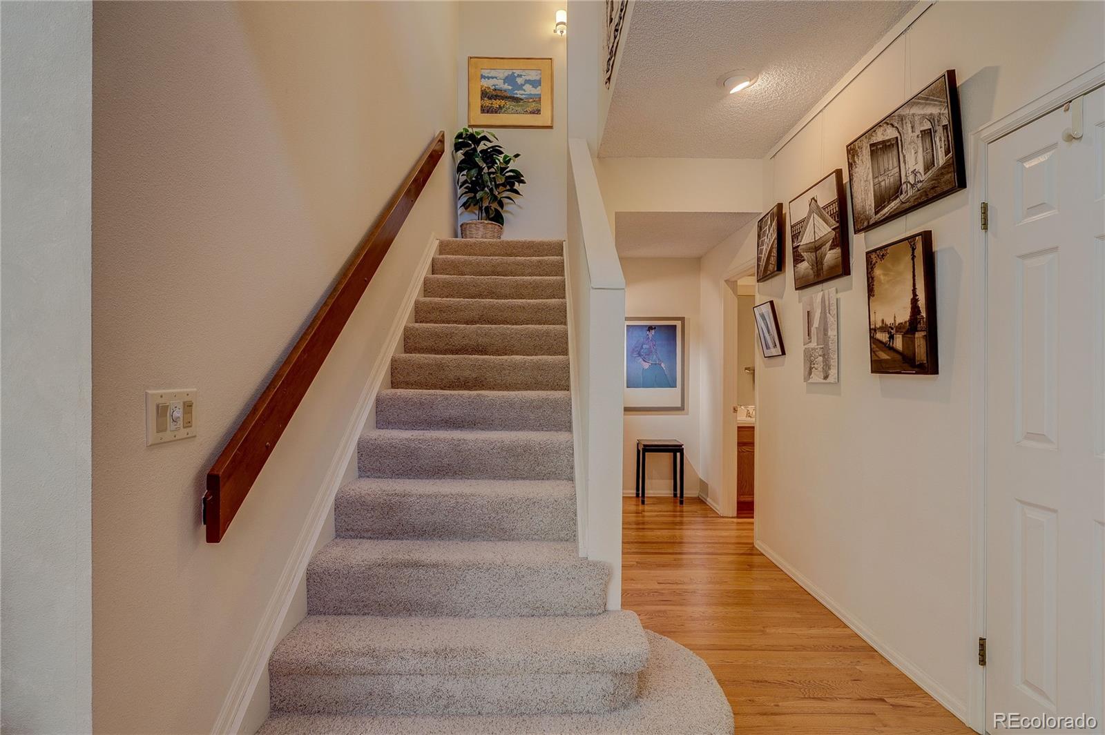 MLS Image #19 for 8849  blue mountain place,highlands ranch, Colorado