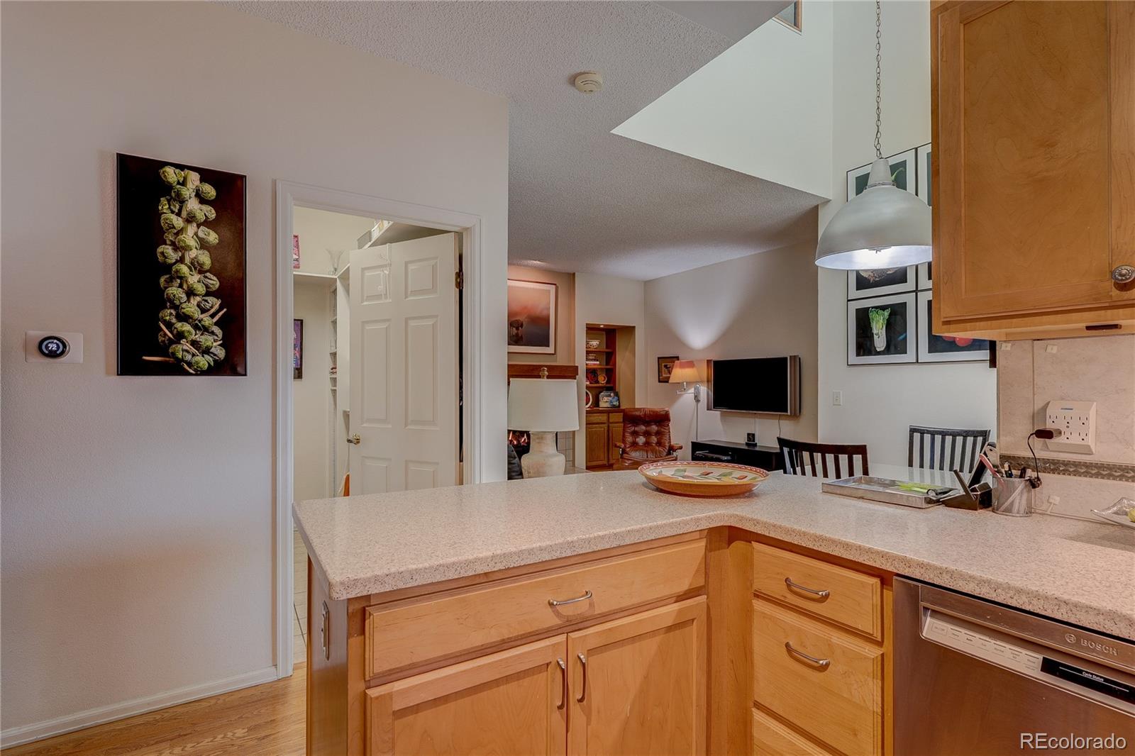 MLS Image #8 for 8849  blue mountain place,highlands ranch, Colorado