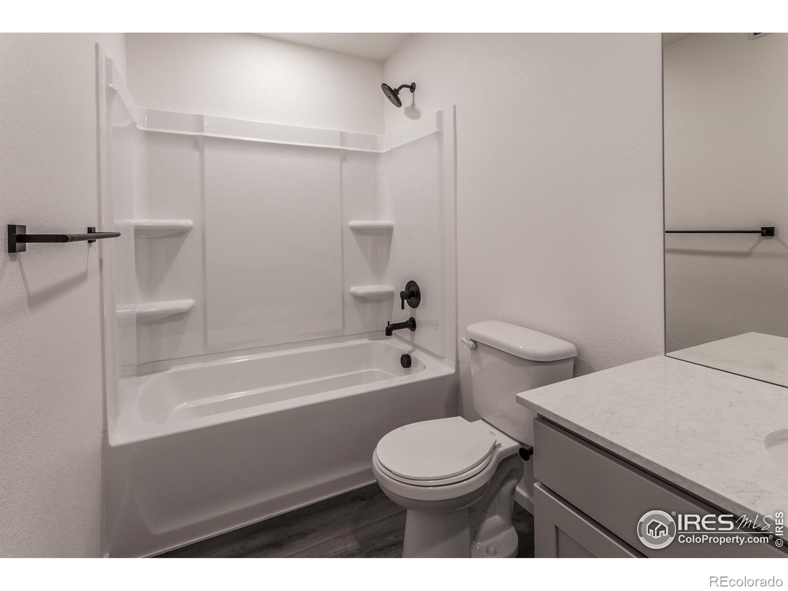 MLS Image #27 for 4909  autumn leaf drive,timnath, Colorado