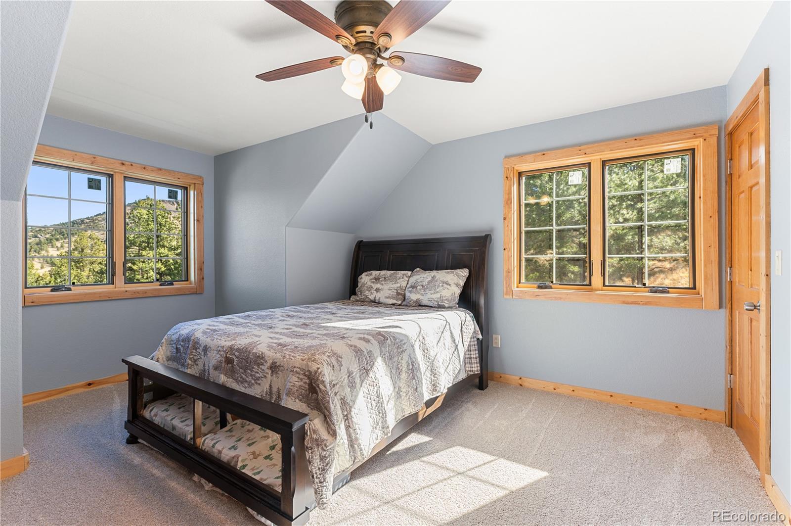 MLS Image #10 for 9100  county rd 102 ,guffey, Colorado
