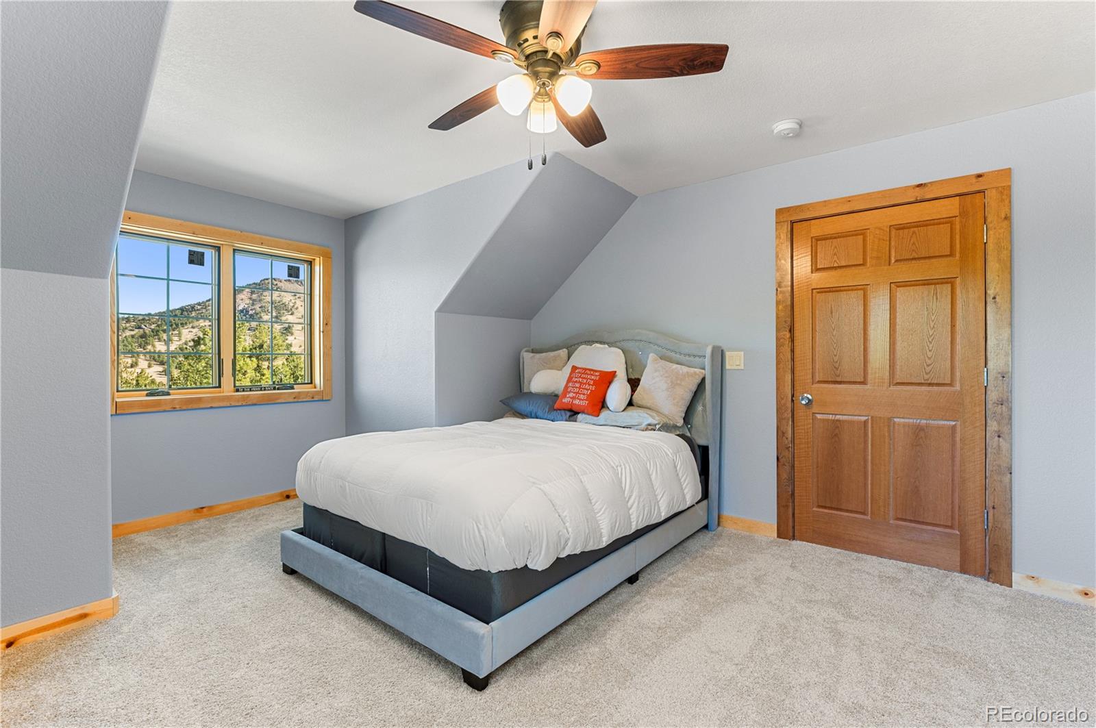 MLS Image #12 for 9100  county rd 102 ,guffey, Colorado