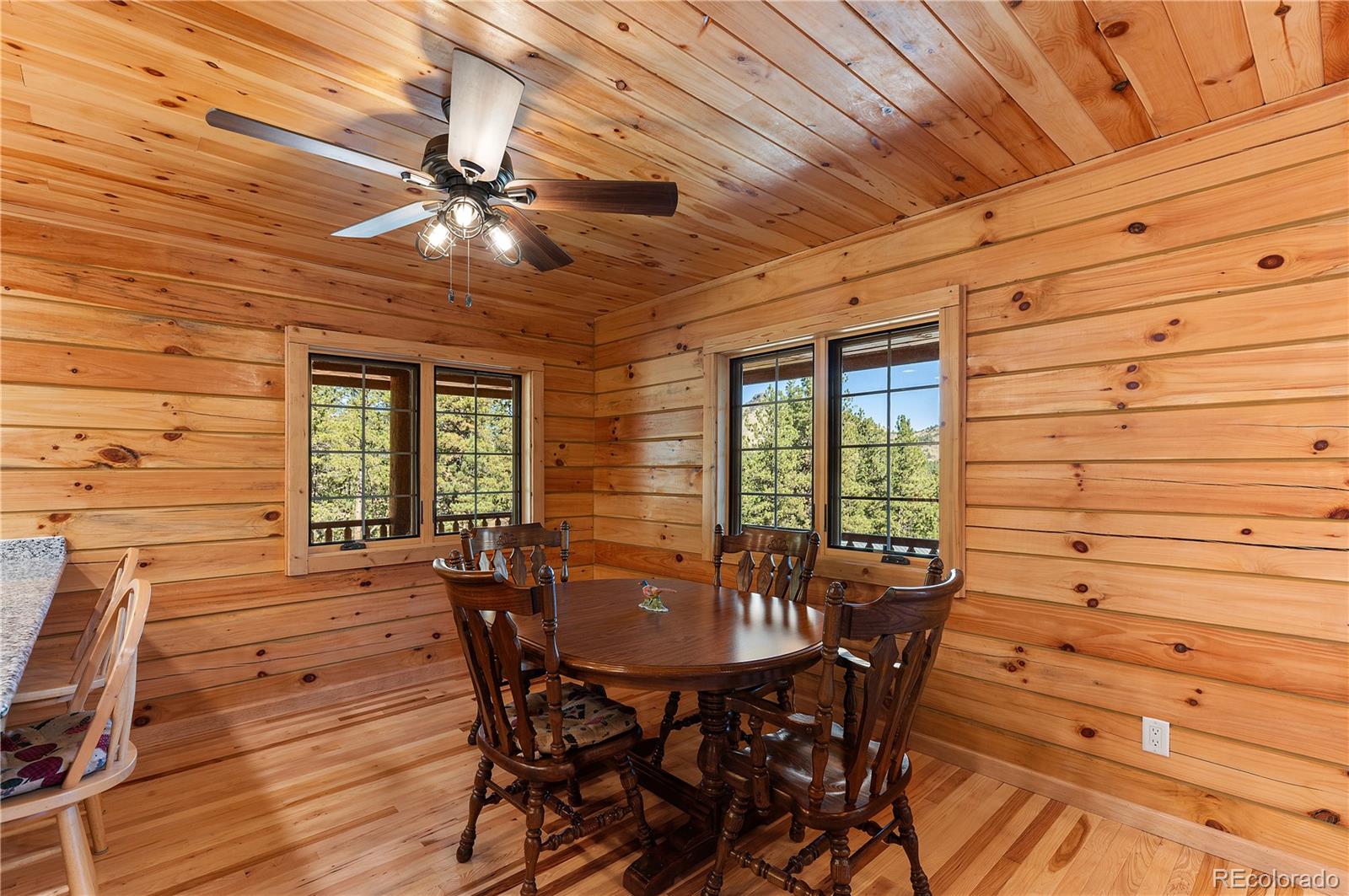 MLS Image #22 for 9100  county rd 102 ,guffey, Colorado