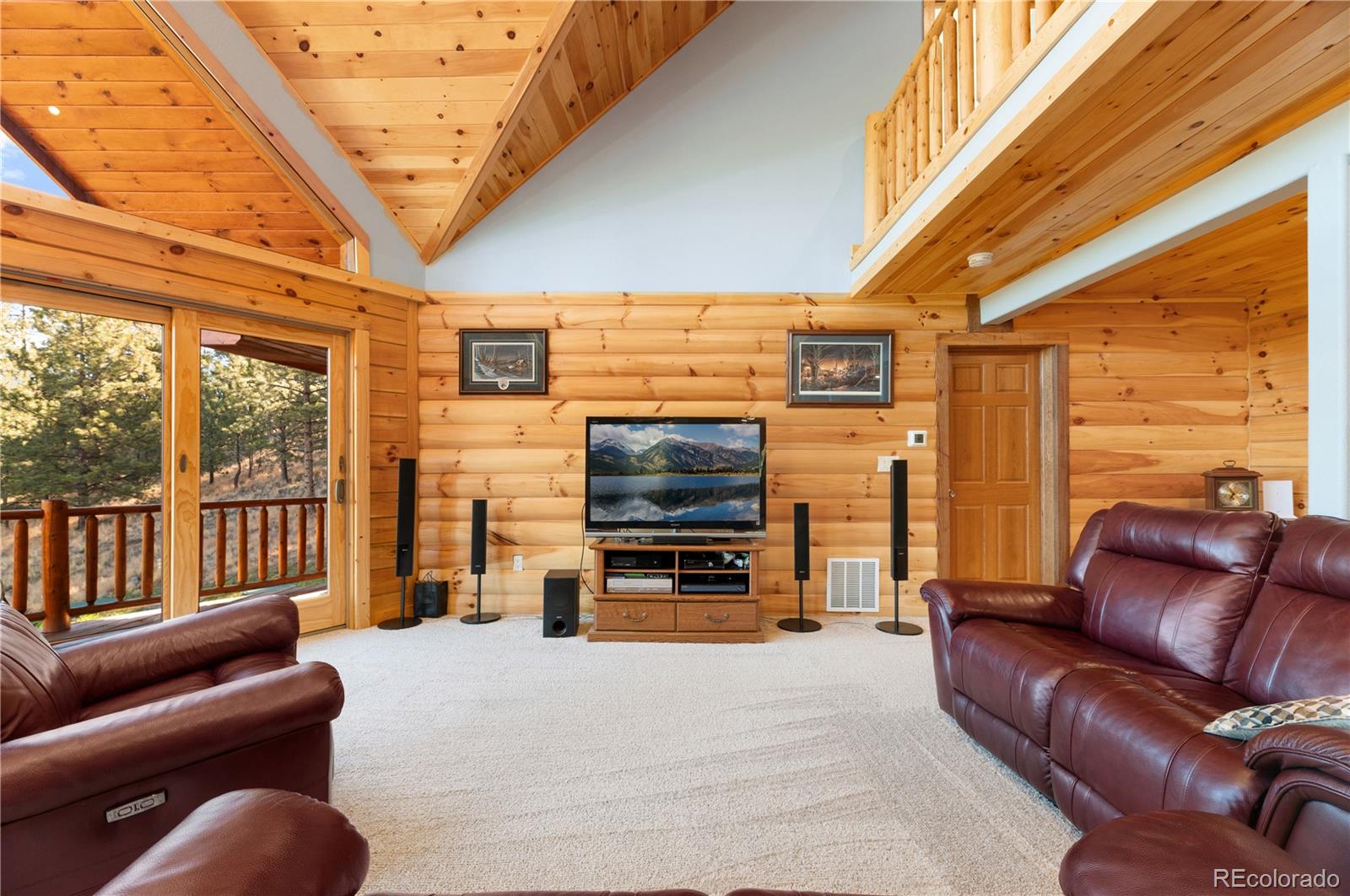 MLS Image #24 for 9100  county rd 102 ,guffey, Colorado