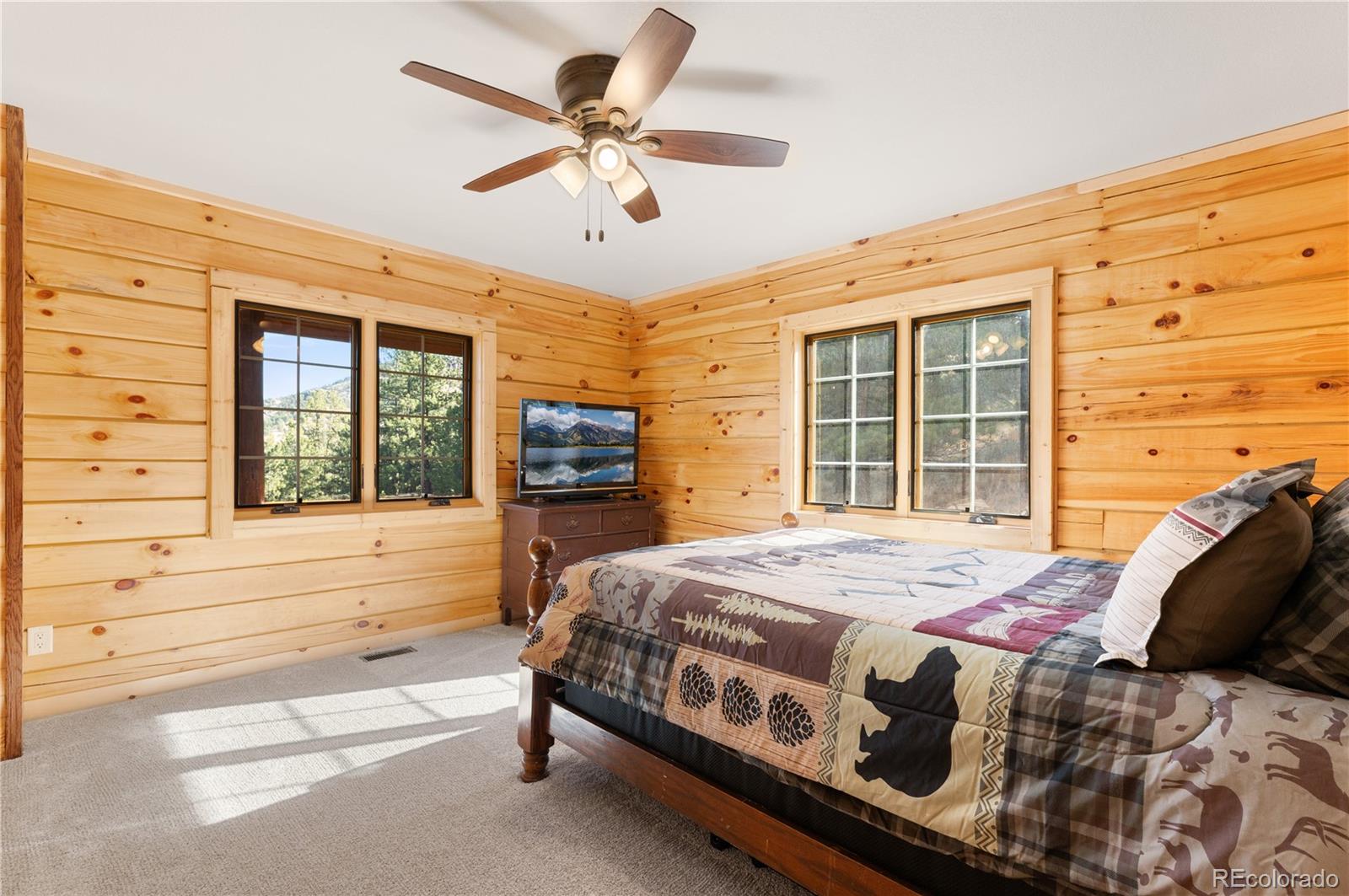 MLS Image #28 for 9100  county rd 102 ,guffey, Colorado